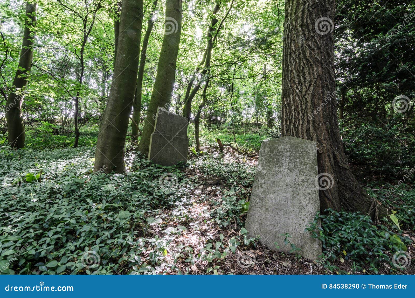 Tumbas Abandonadas En El Bosque Foto de archivo Imagen de pascua