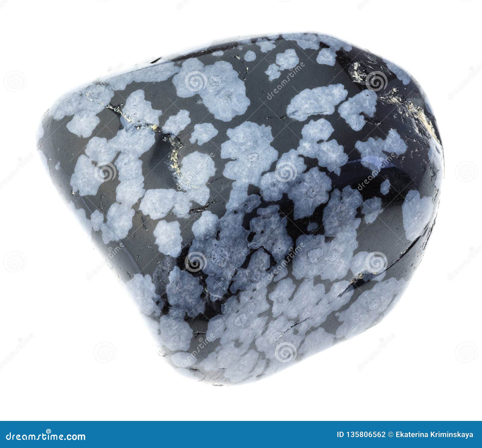 Tumbled Gray Snowflake Obsidian Stone On White Stock Photo Image Of Stone Mineral Tumbled Gray Snowflake Obsidian Stone On White Stock Photo Image Of Stone Mineral
