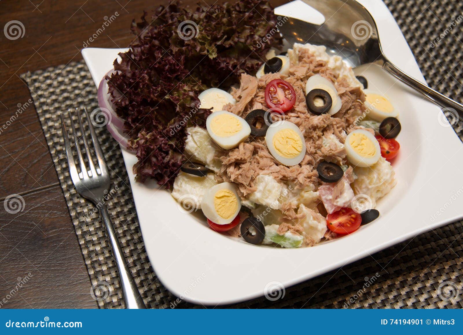 Tuna Boiled Eggs and Vegetables Stock Image Image of diet, starter