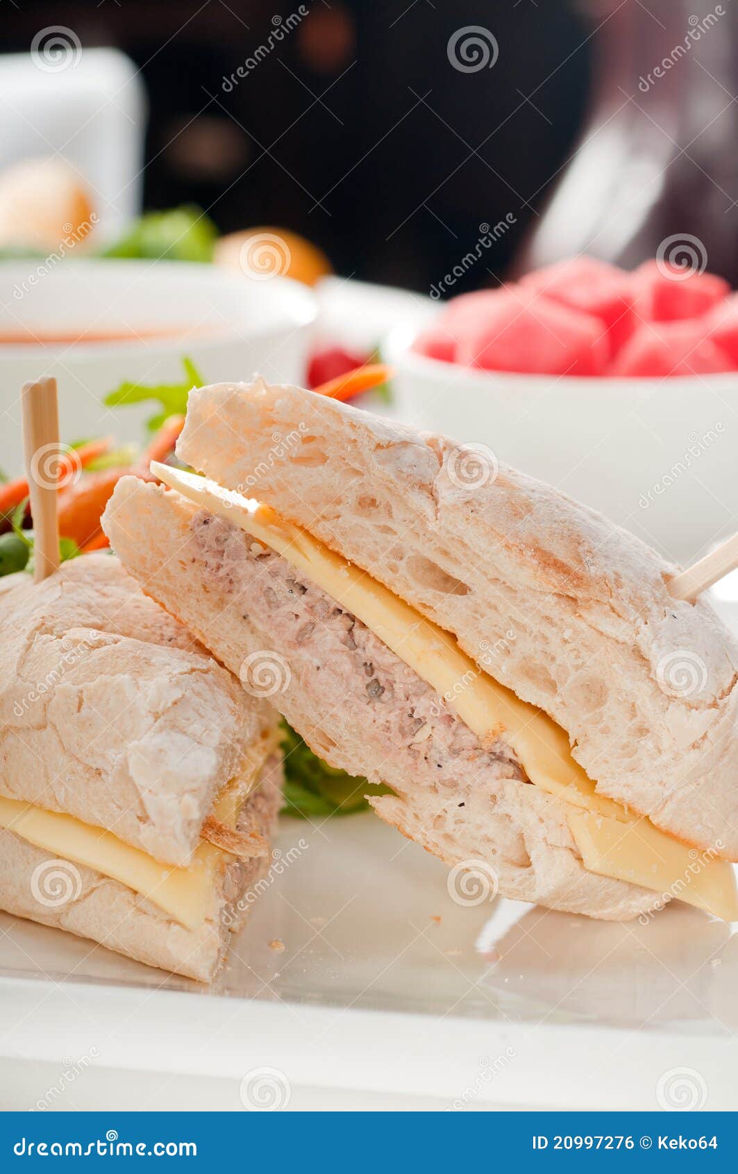 Tuna and Cheese Sandwich with Salad Stock Photo Image of plate