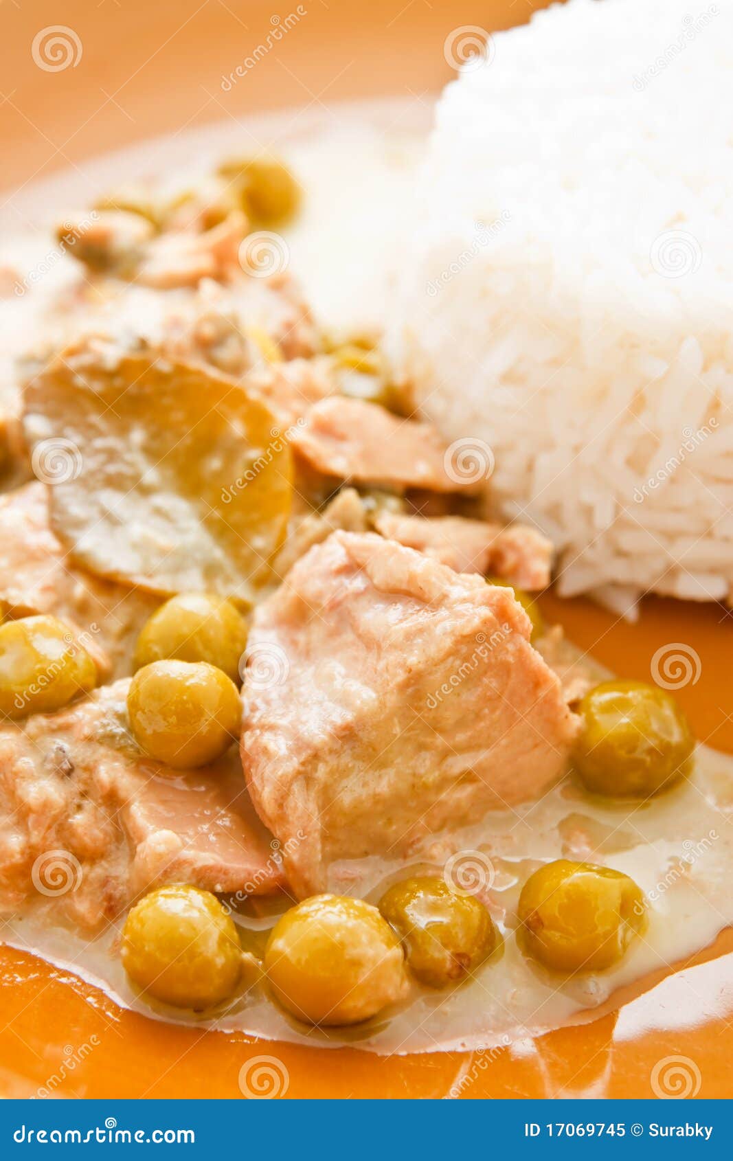 Tuna curry in Thai style stock image. Image of bowl, food 17069745