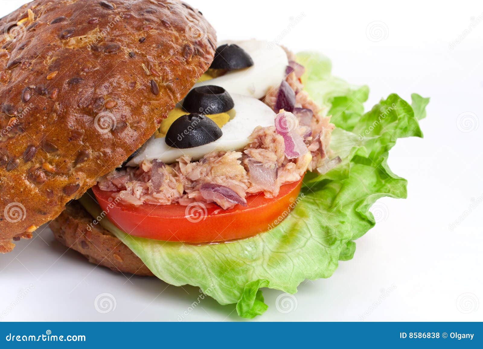 Tuna and Egg Whole Wheat Sandwich Stock Photo Image of healthy