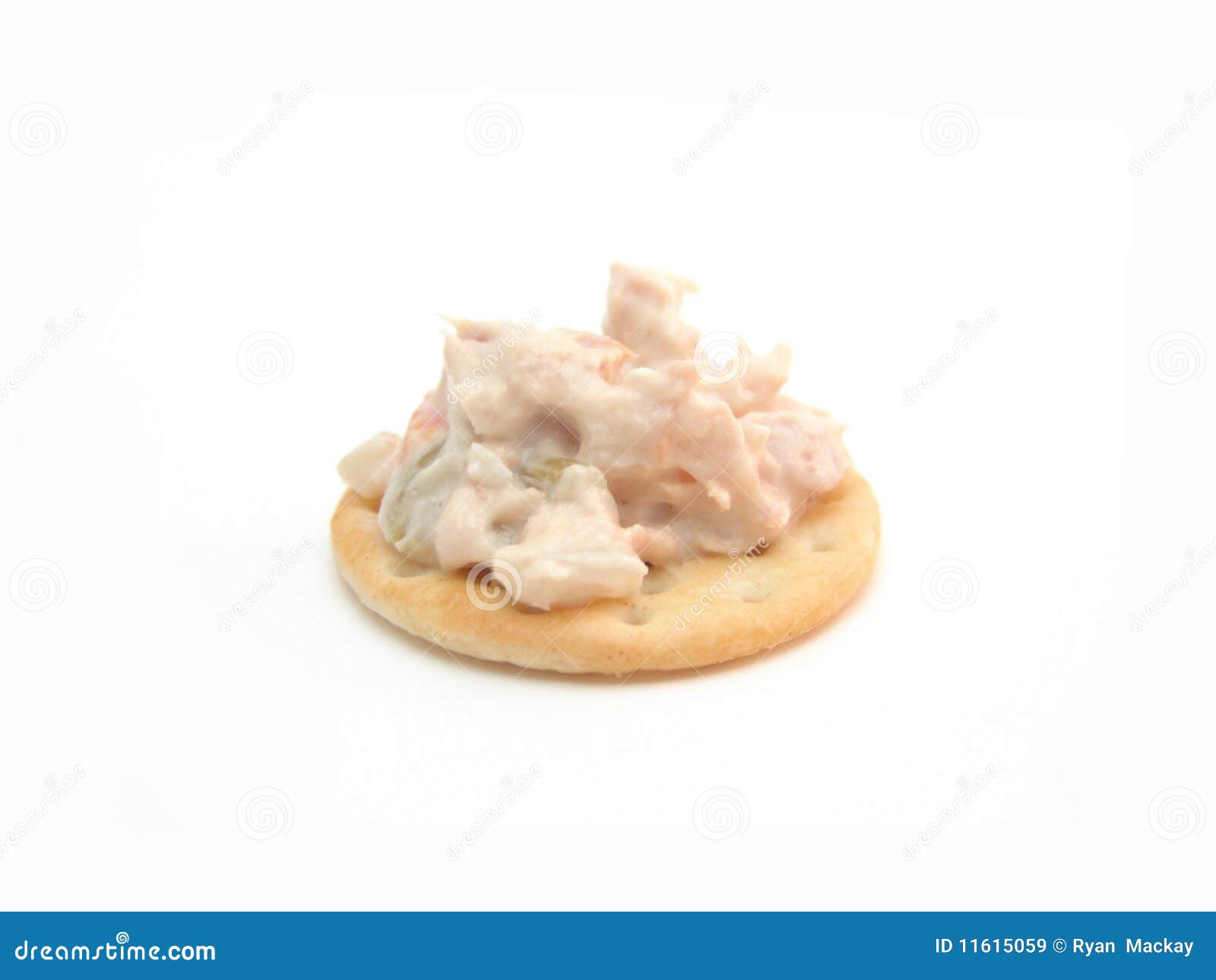 Tuna fish on cracker stock image. Image of food, tuna 11615059
