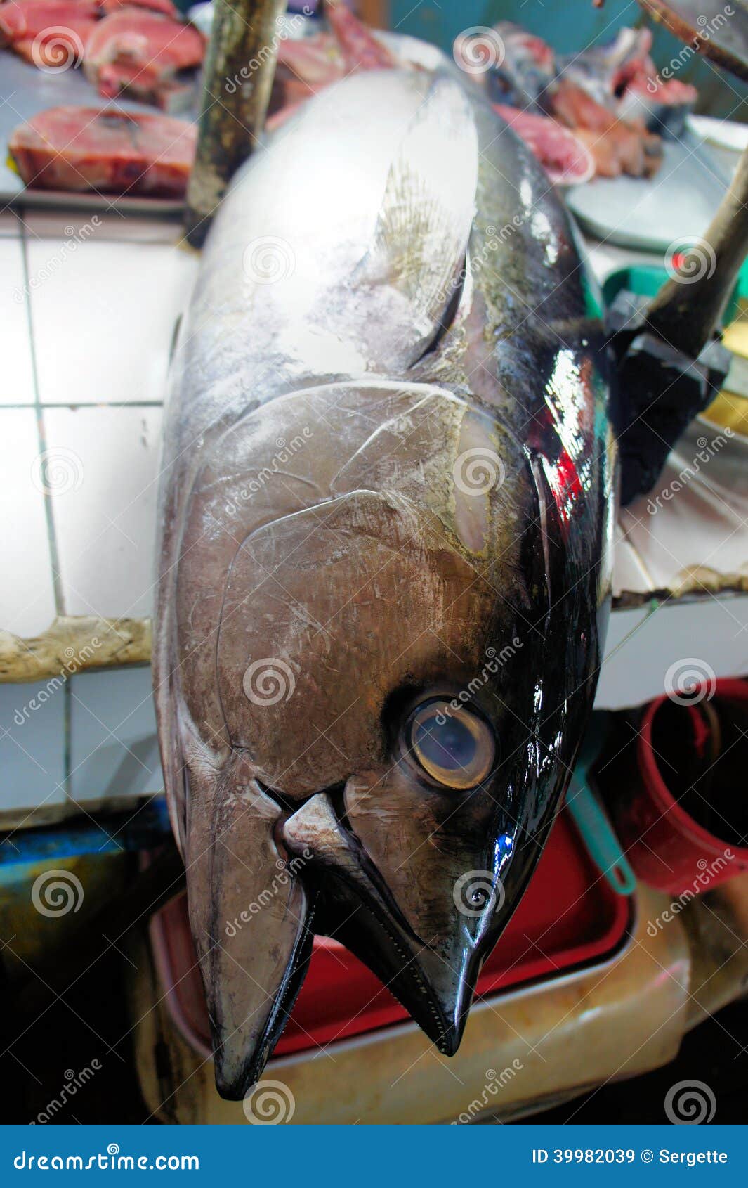 Tuna fish for sale stock image. Image of large, tuna 39982039