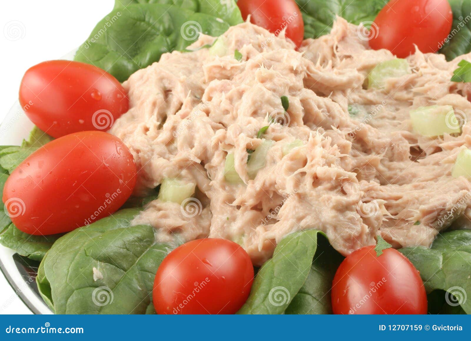 Tuna Fish and Spinach Salad Stock Image Image of salad, delicious