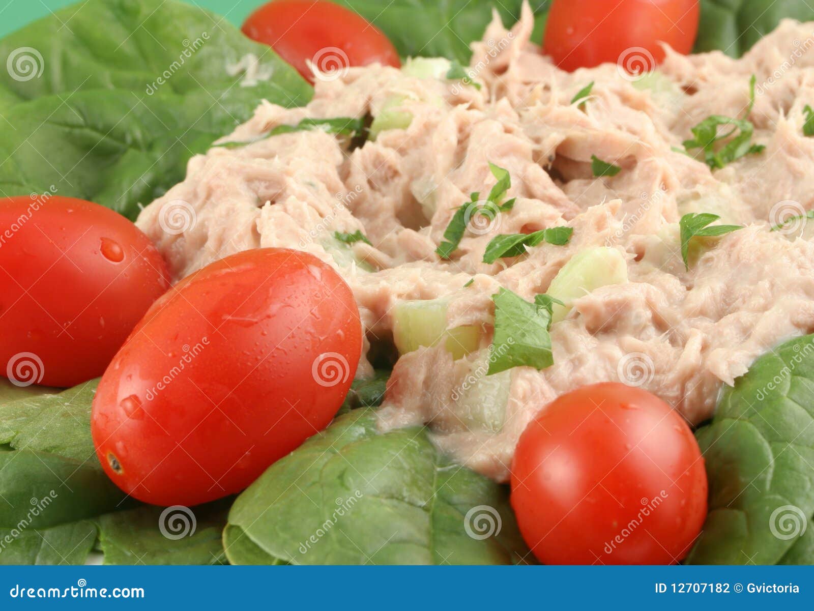 Tuna Fish and Spinach Salad Stock Photo Image of nutrition, plate
