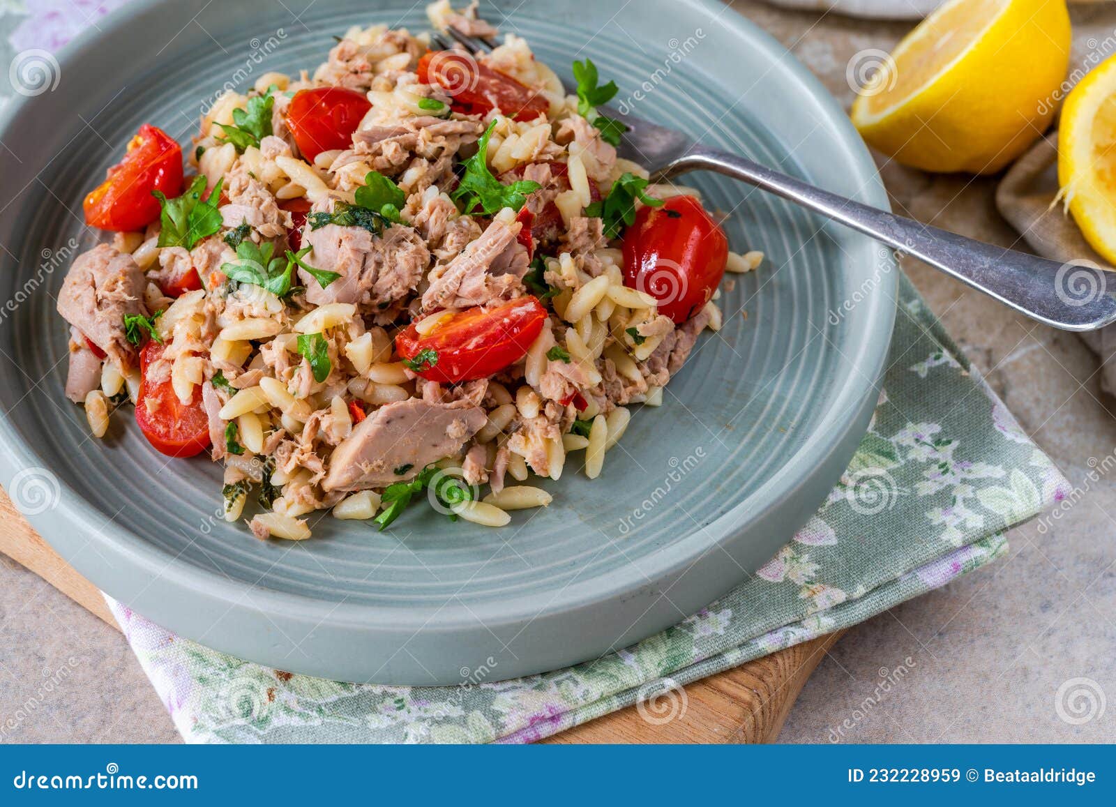 Tuna and orzo stock image. Image of gourmet, italian 232228959