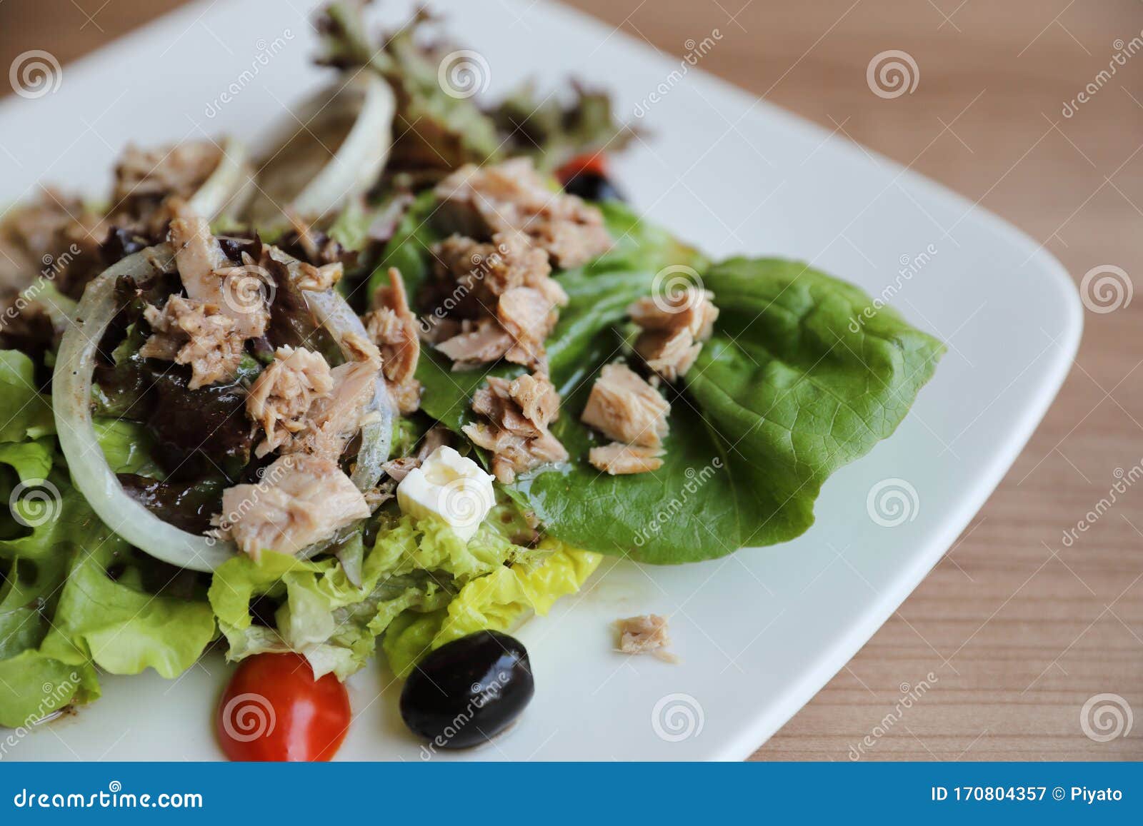 Tuna Salad Appetizer on a Plate Stock Image Image of lettuce, health