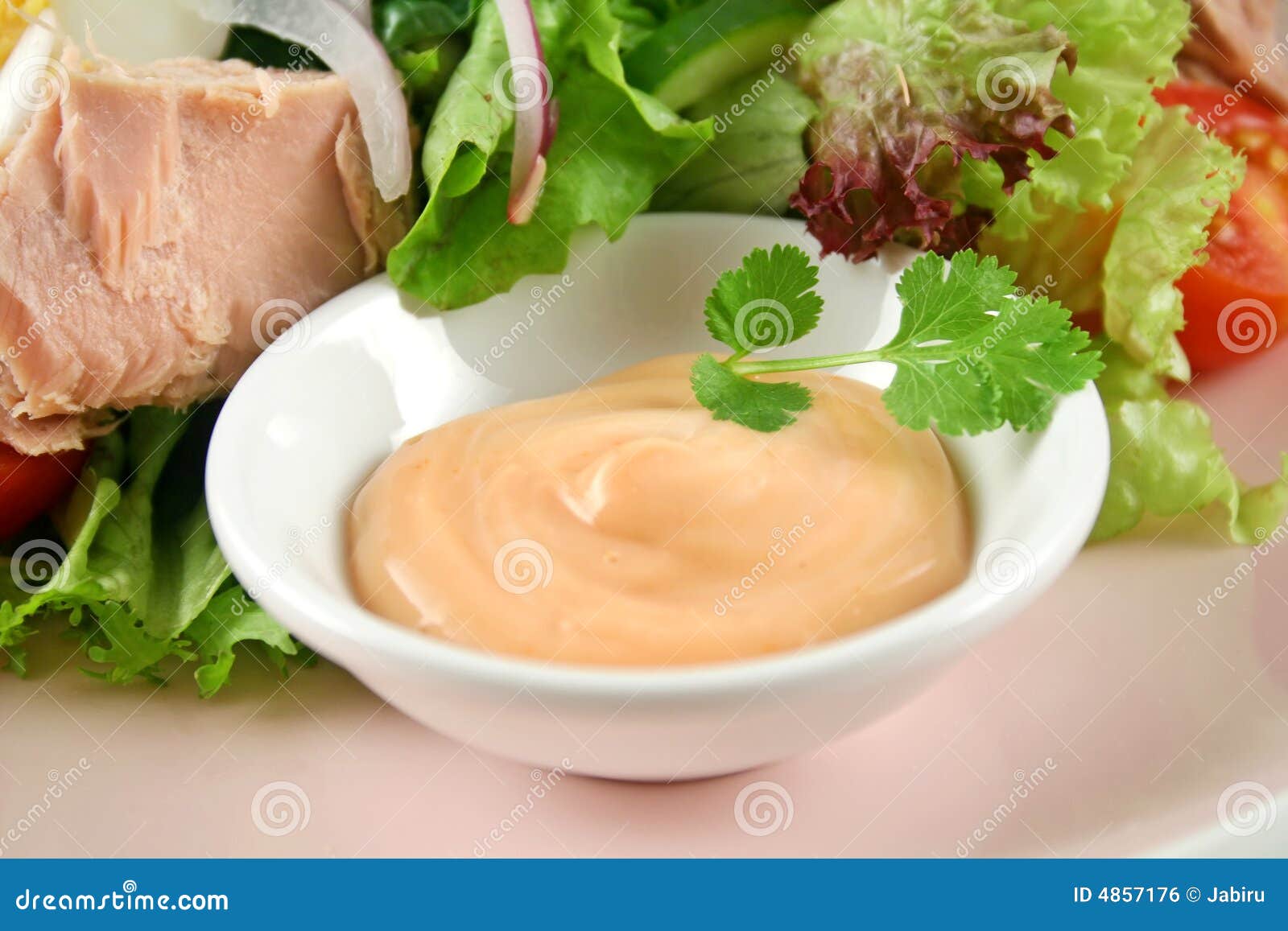 Tuna Salad and Dressing stock photo. Image of food, fresh 4857176