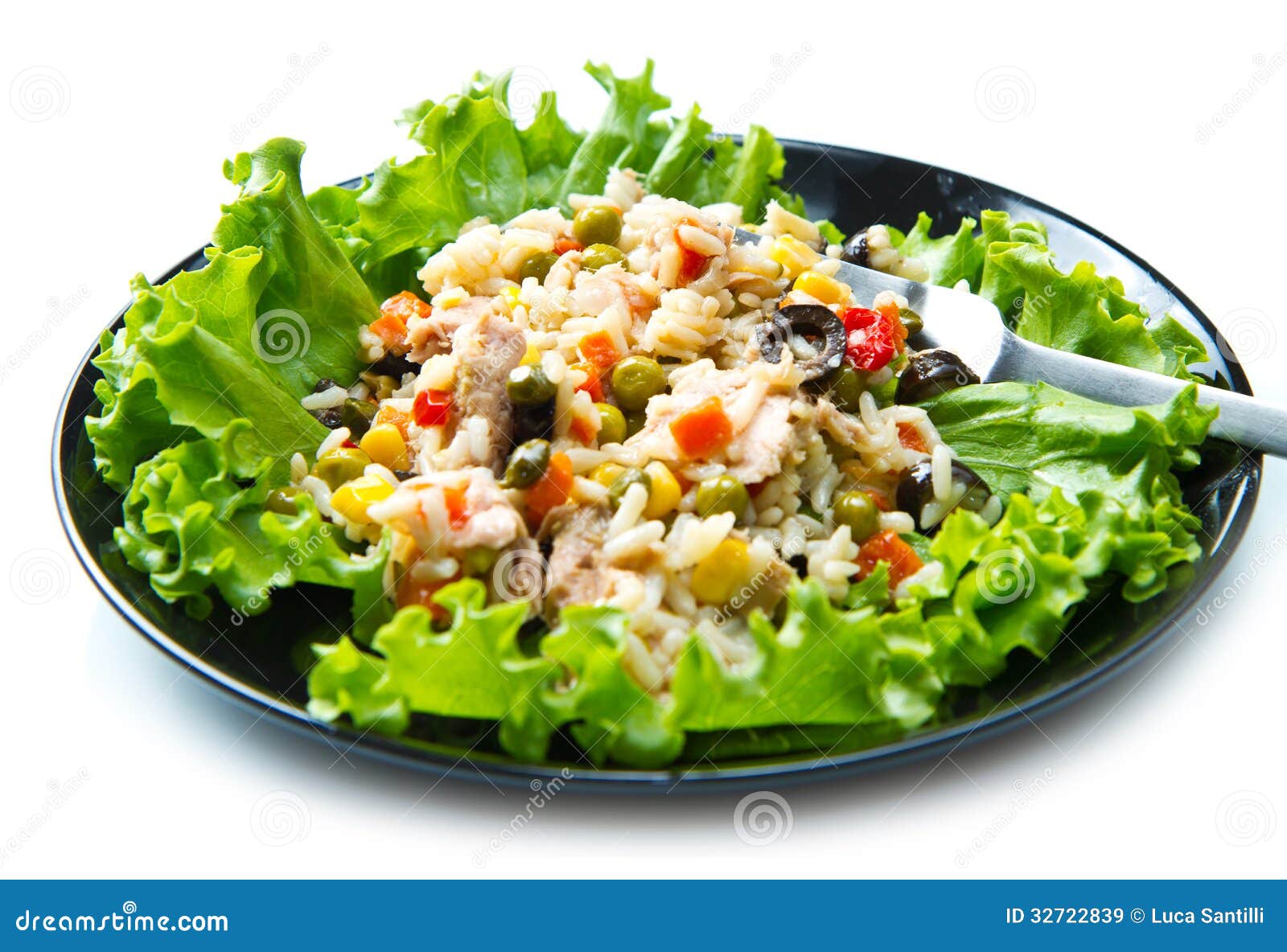 Tuna Salad with Rice and Vegetables Stock Image Image of dish, tuna
