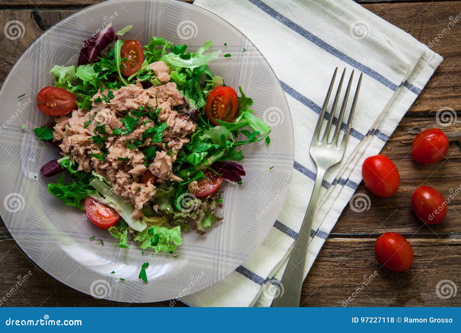 Tuna salad and tomato stock photo. Image of dinner, ingredient 97227118