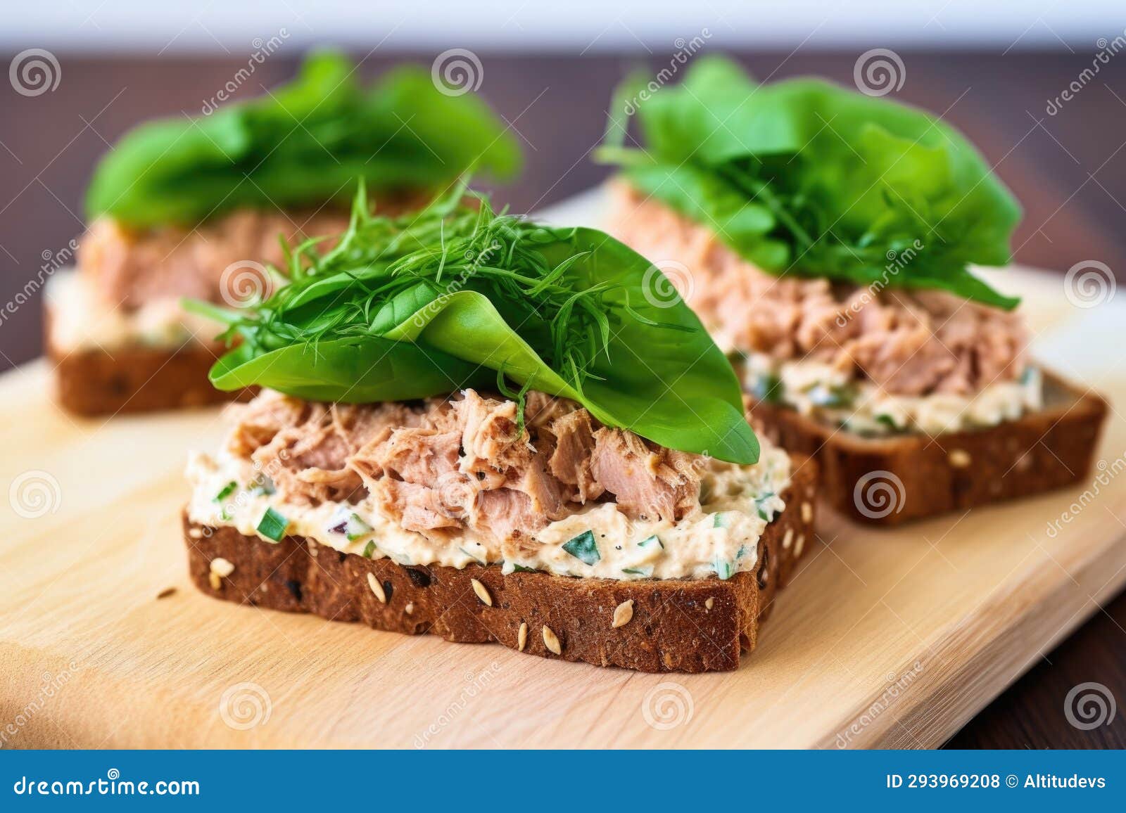 Tuna Sandwich on Rye Bread with Lettuce, Viewed from Above Stock Photo