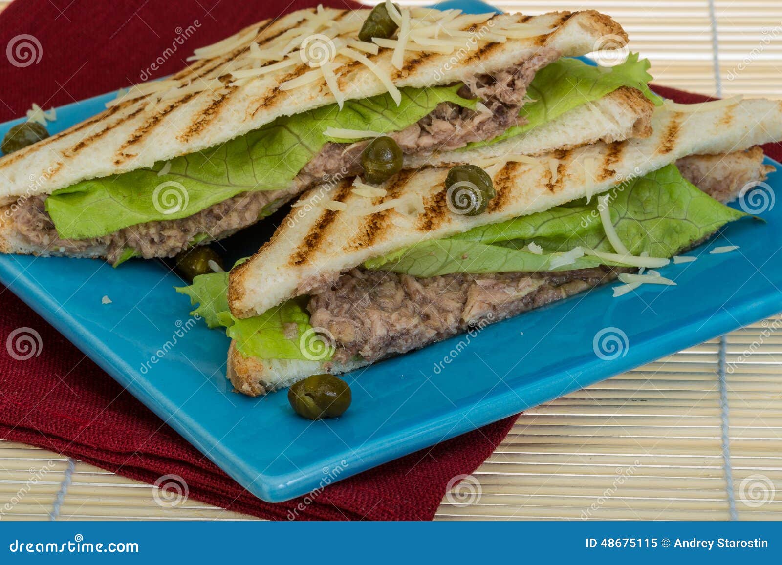 Tuna sandwich stock image. Image of snack, healthy, fresh 48675115