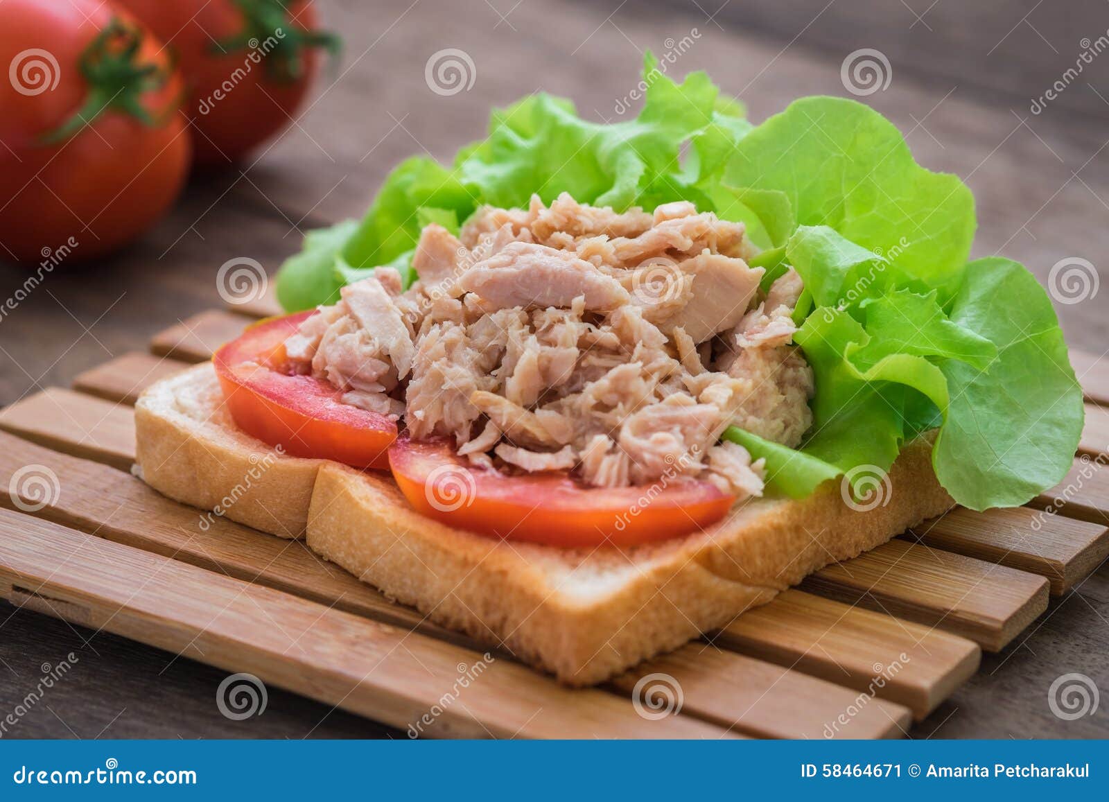 Tuna Sandwich with Vegetables Stock Image Image of meal, food 58464671