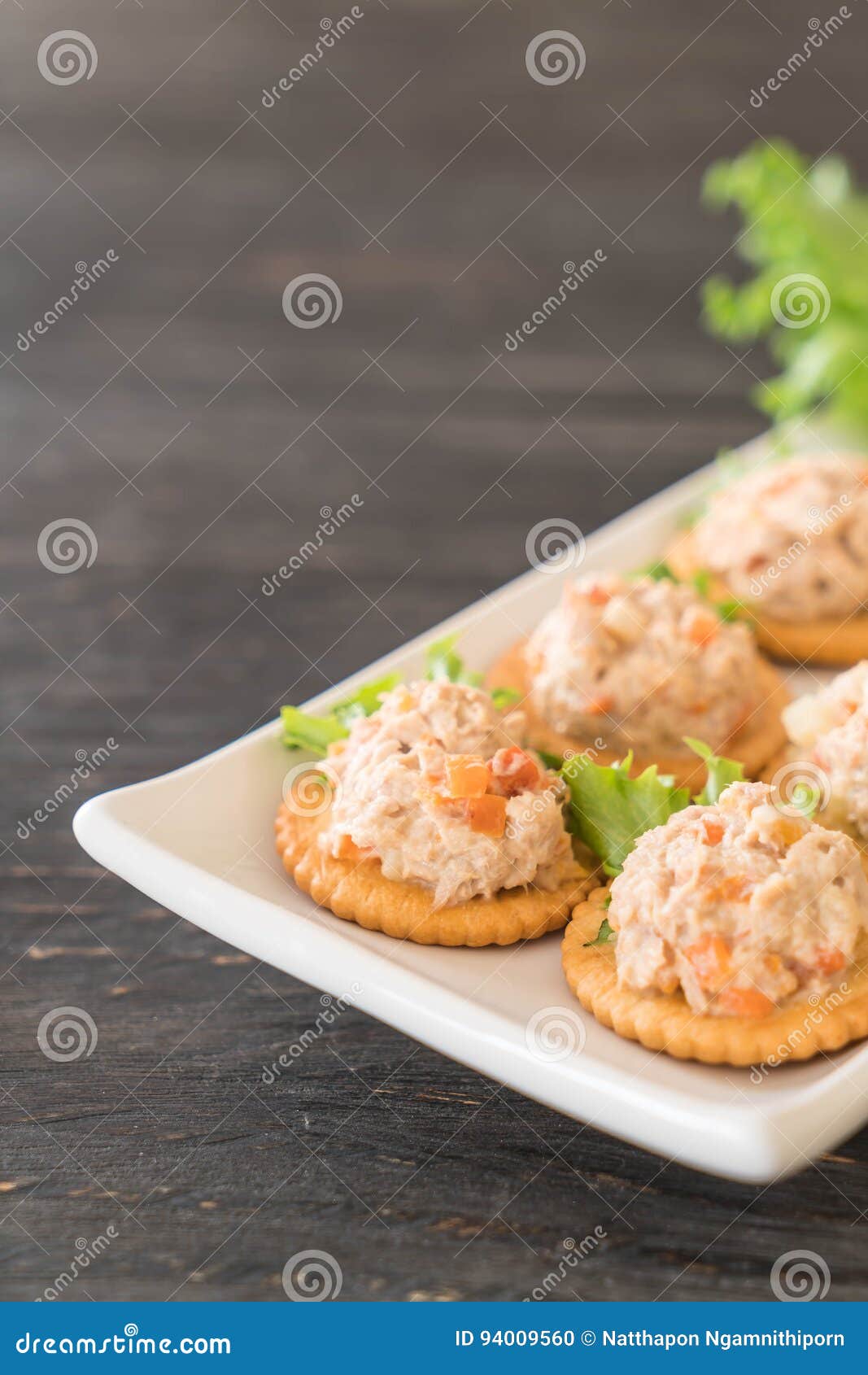 Tuna spread with cracker stock photo. Image of delicious 94009560
