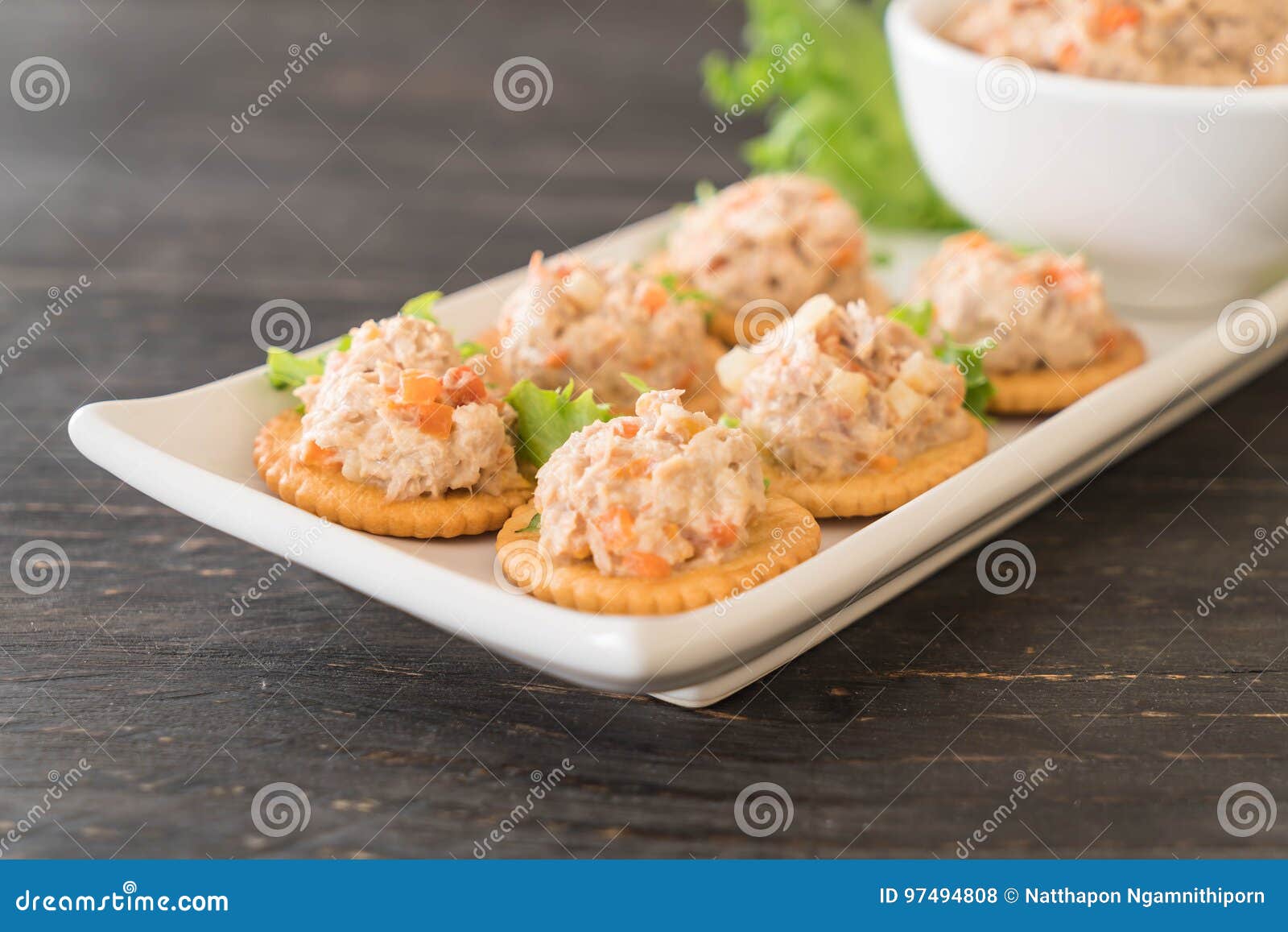 Tuna spread with cracker stock photo. Image of fish, cracker 97494808