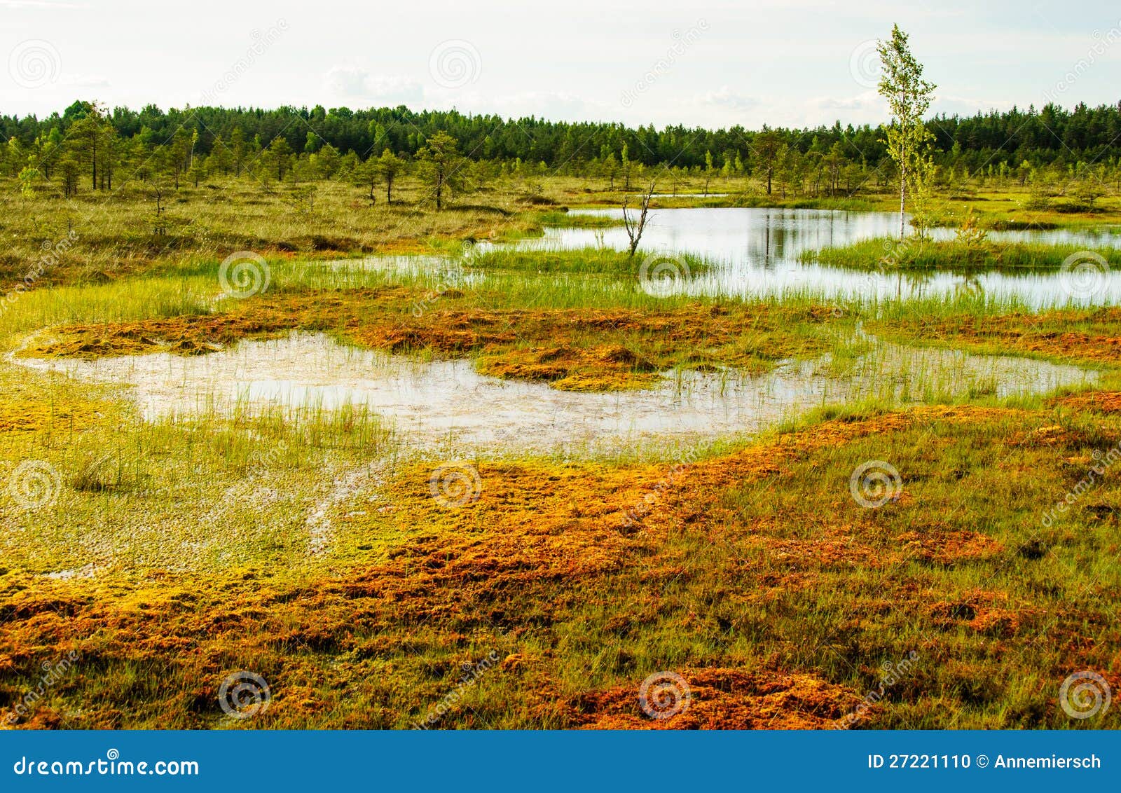 tundra sooma estonia