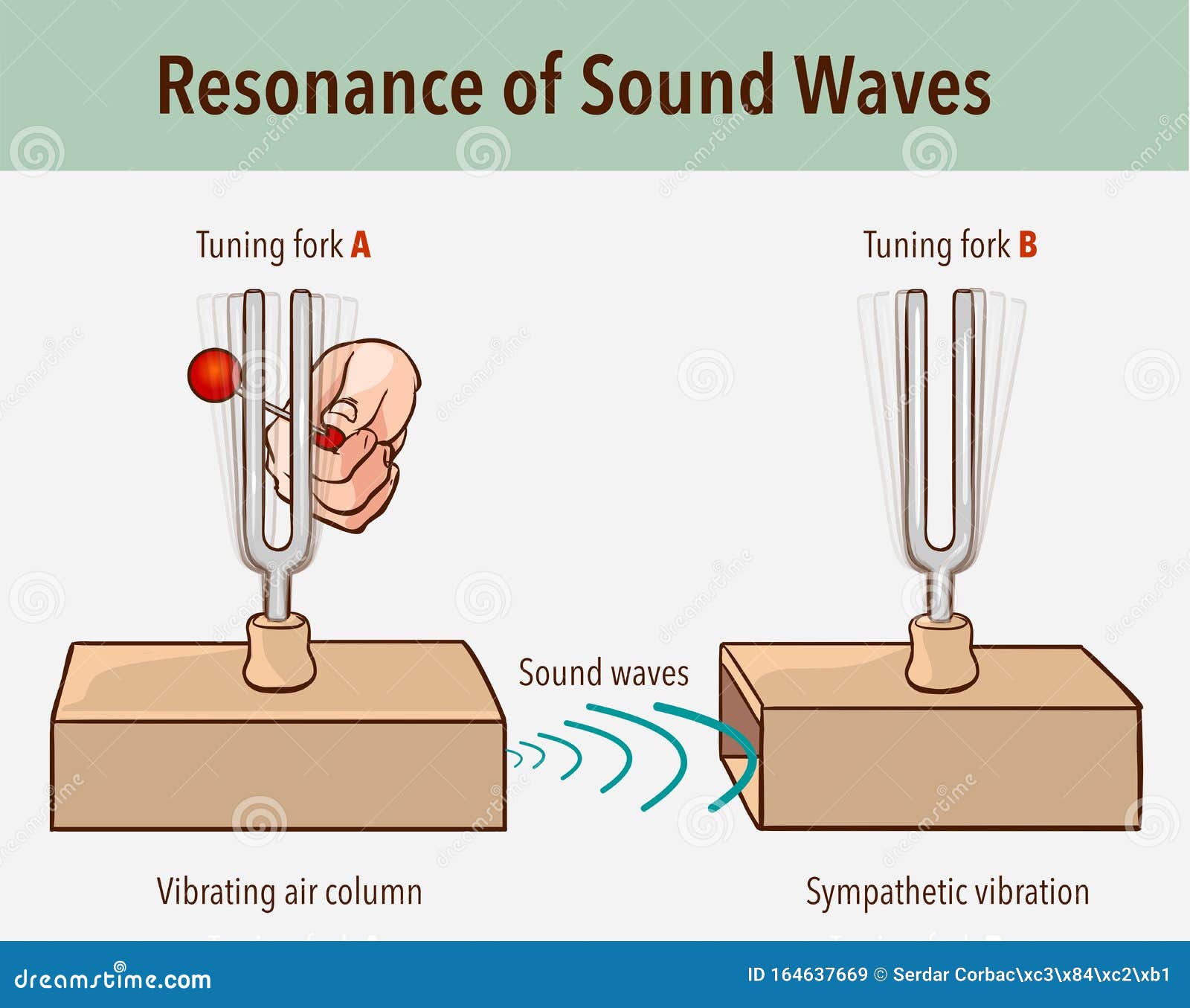 tuning fork resonance experiment. when one tuning fork is struck, the other tuning fork of the same frequency will also vibrate in