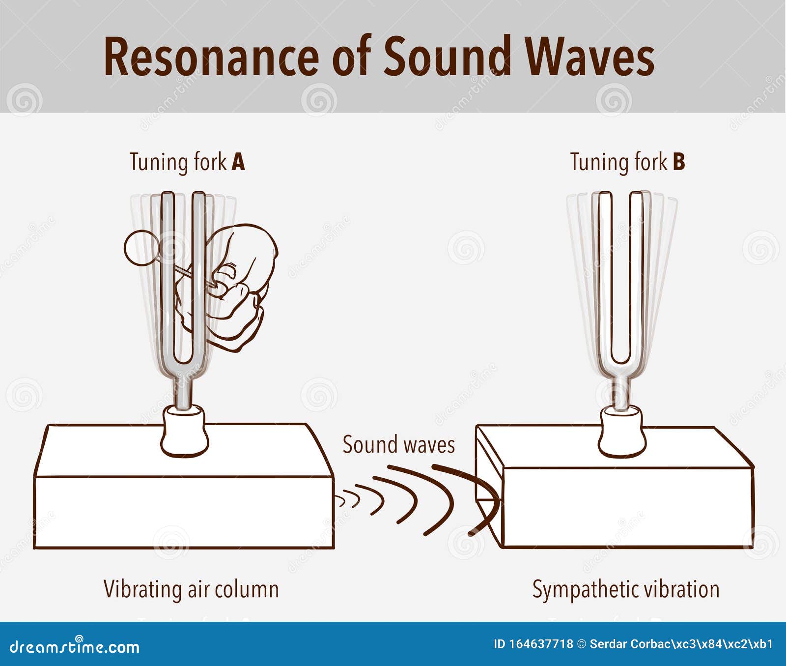 Tuning Fork Resonance Experiment. when One Tuning Fork is Struck, the