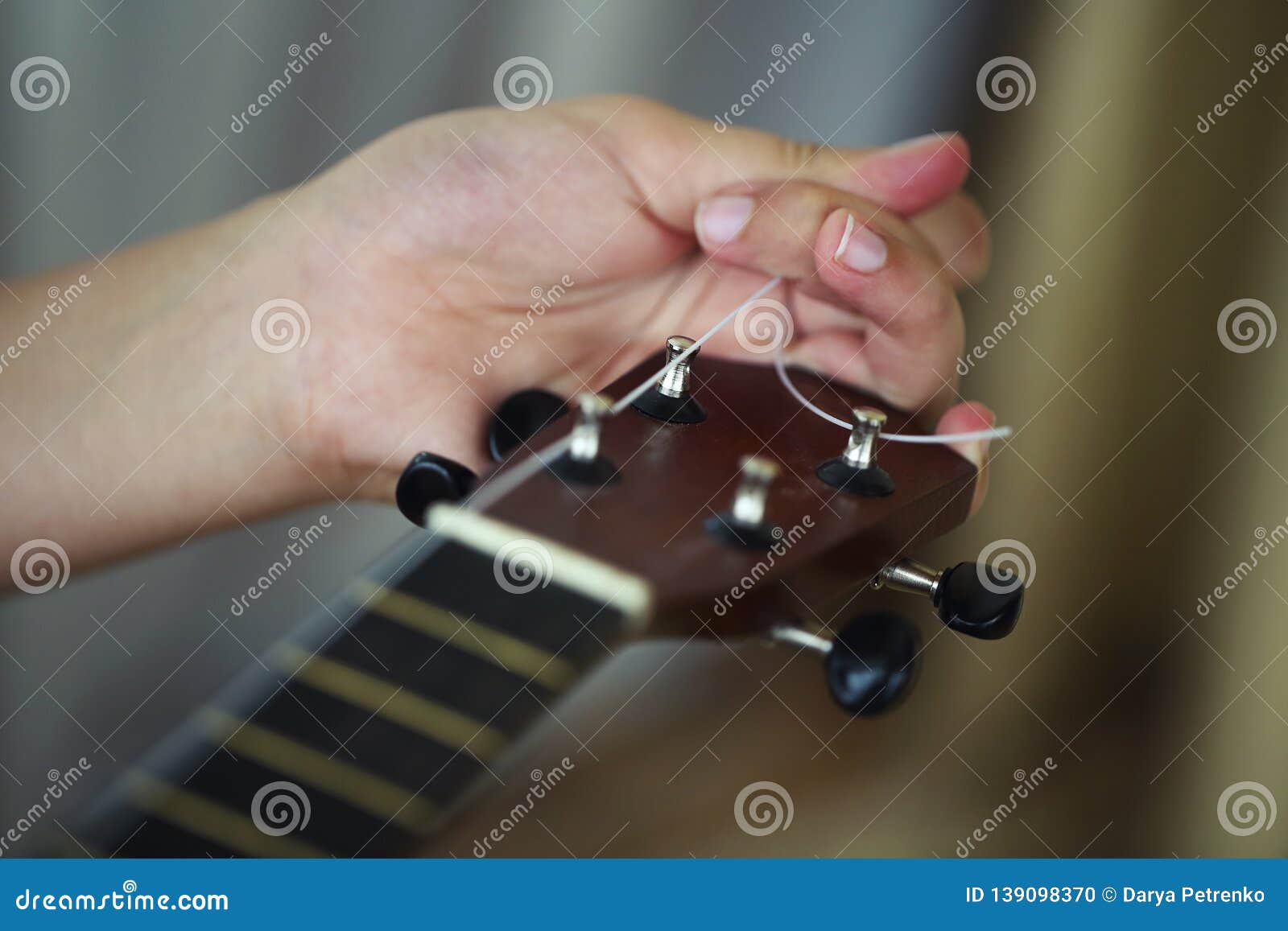 Tuning the String of Ukulele, Human Hands, Closeup Stock Photo Image