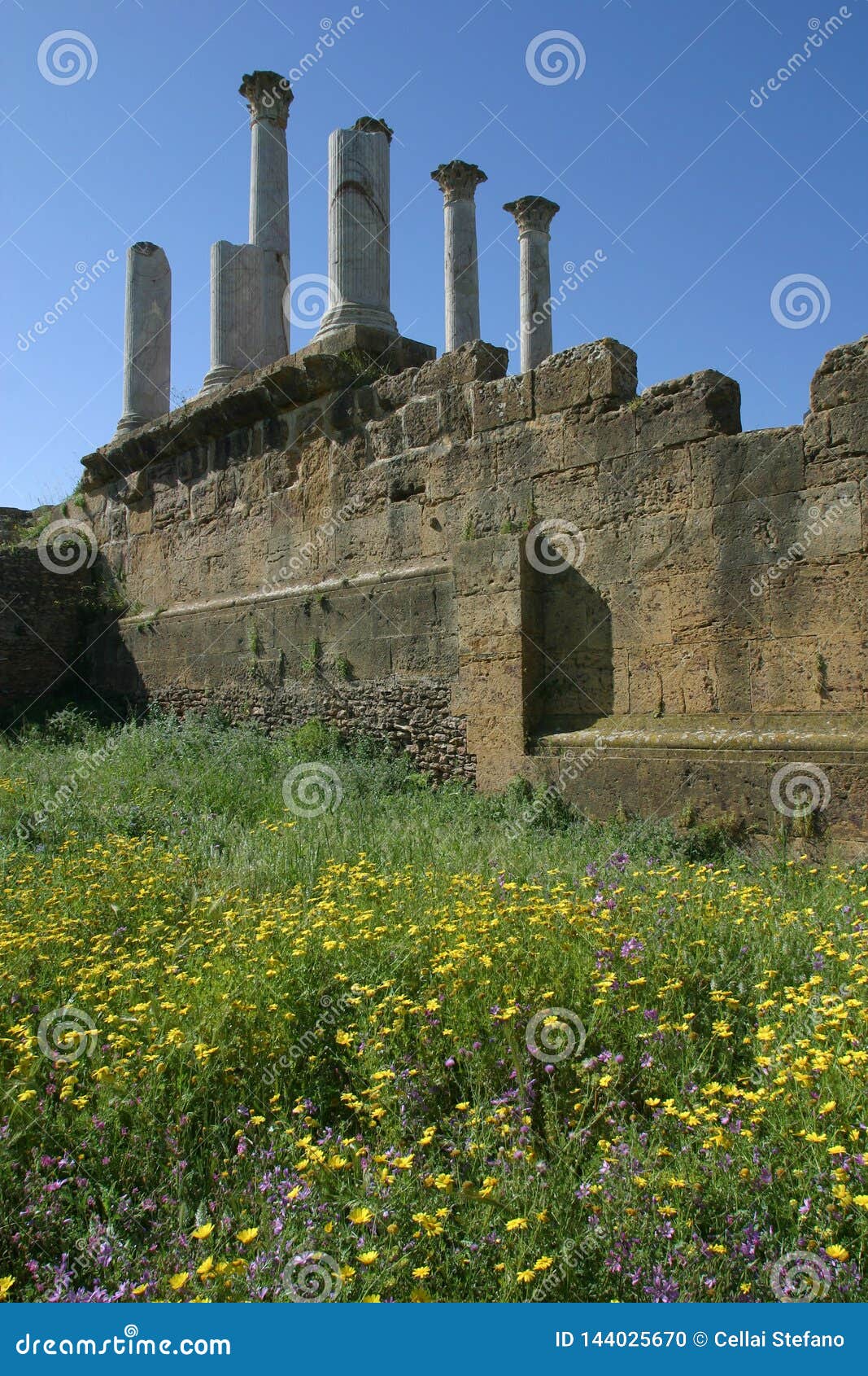 tunis, tuburbu majus, the archeologic roman site.