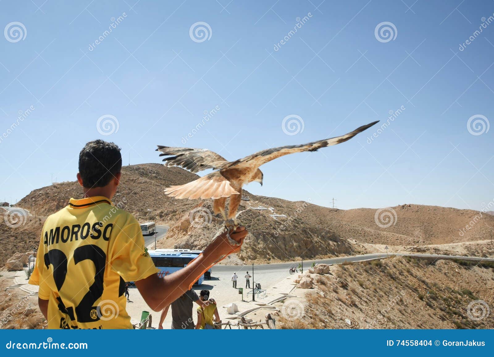 Tunisian man holding hawk. MATMATA, TUNISIA - SEPTEMBER 17, 2012 : A rear view of a Tunisian man holding a hawk for photographing with tourists at a tourist stop in Matmata with a view of rocky desert in Matmata, Tunisia.