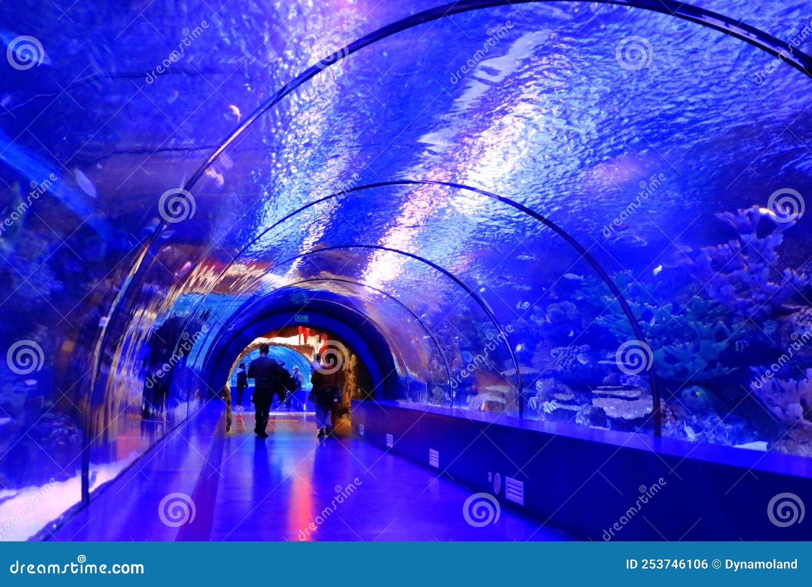Tunnel in the Antalya Aquarium, Turkey Editorial Photo Image of deep