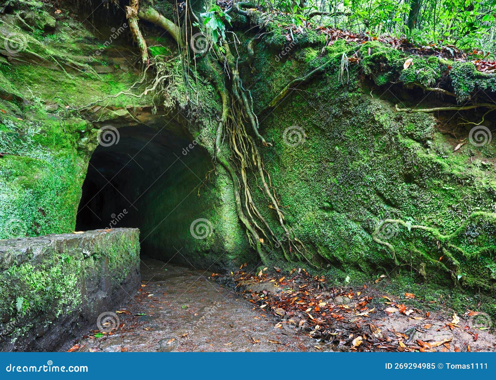 tunnel in madeira on walk hiking trail, levada caldeirao verde