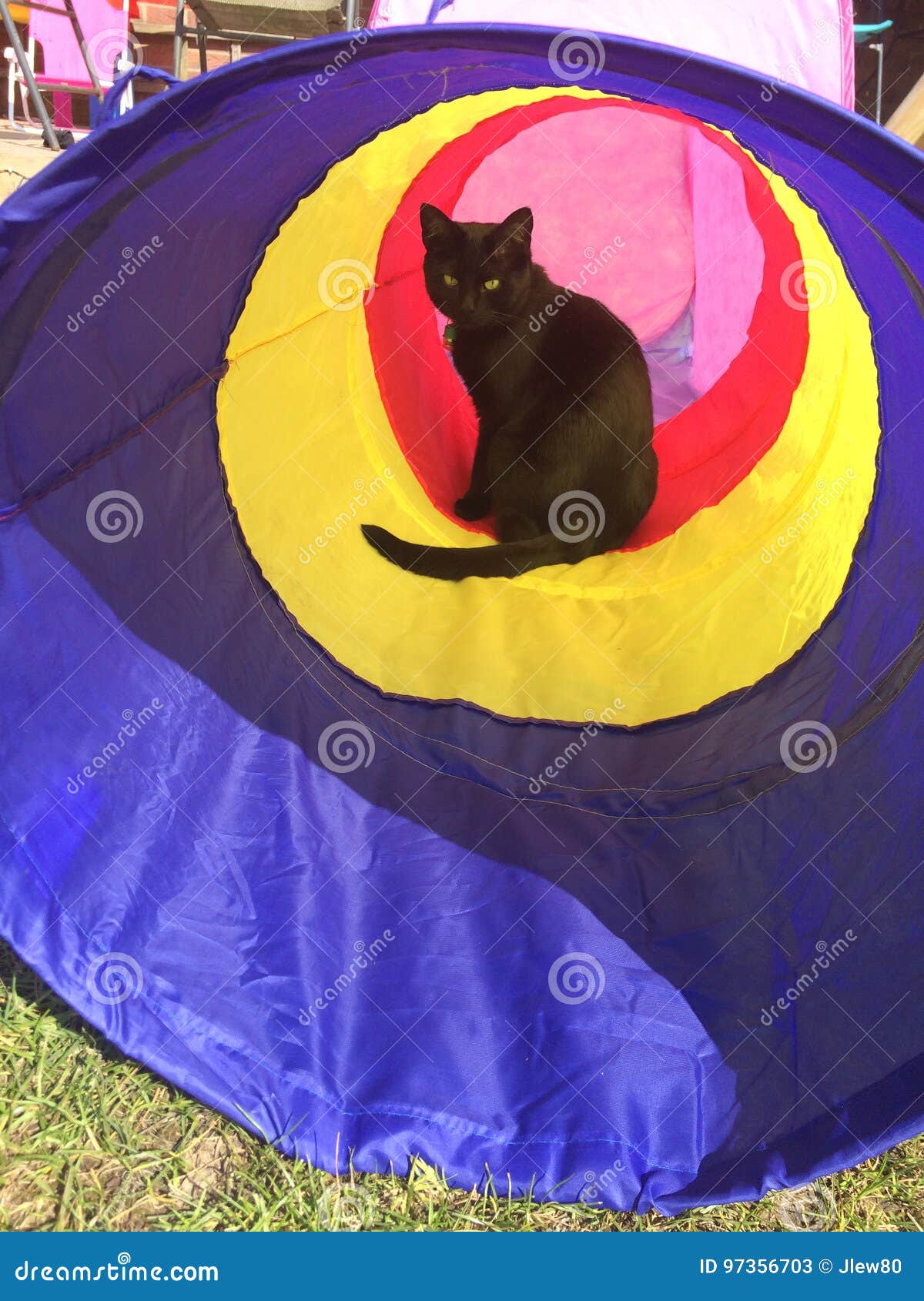 Tunnel Vision stock image. Image of green, cute, play 97356703