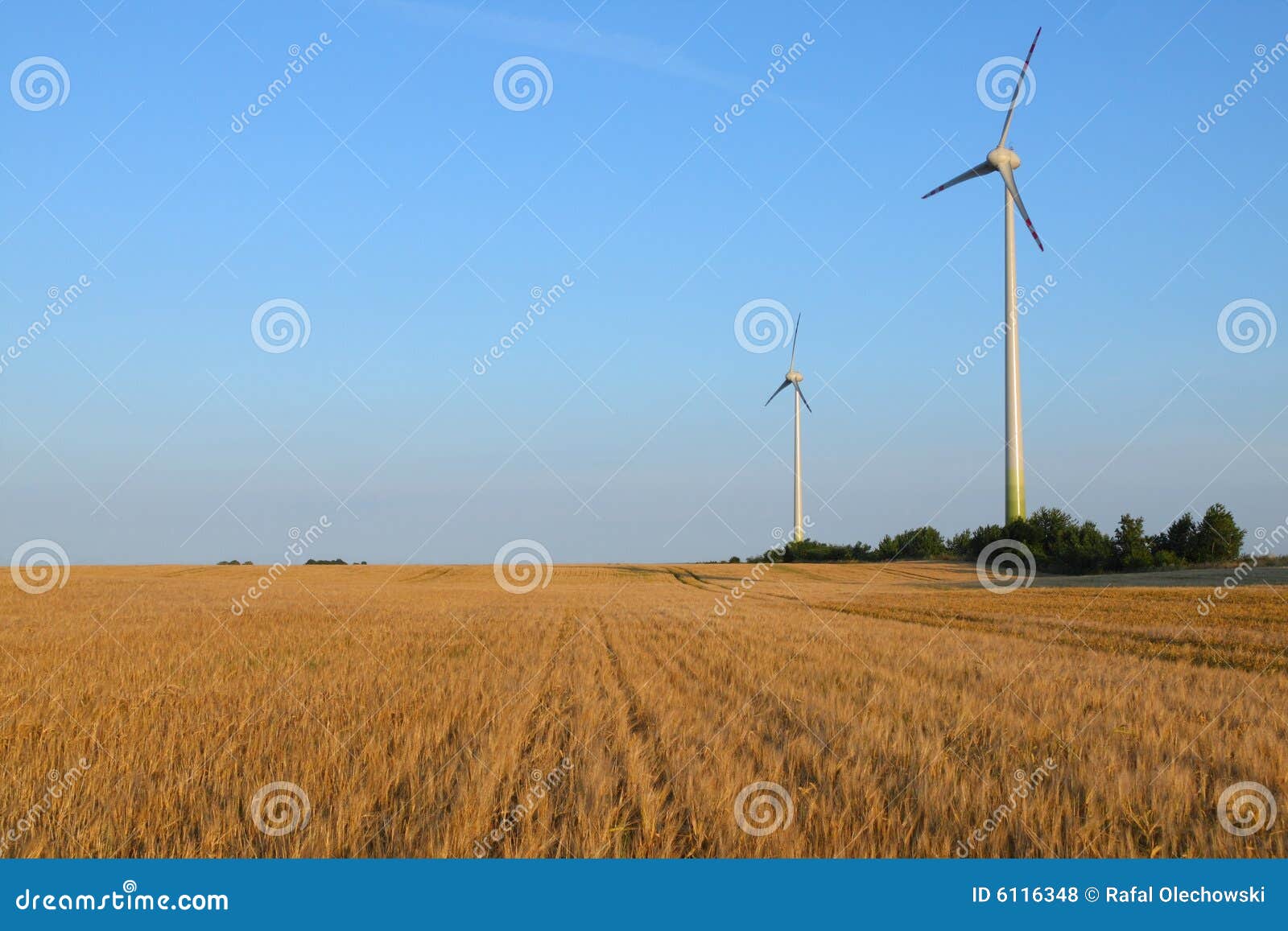 Turbine di vento che generano potenza. Turbine di vento generarici di forza motrice sul campo di frumento coltivato, Polonia. Fonte di energia alternativa.