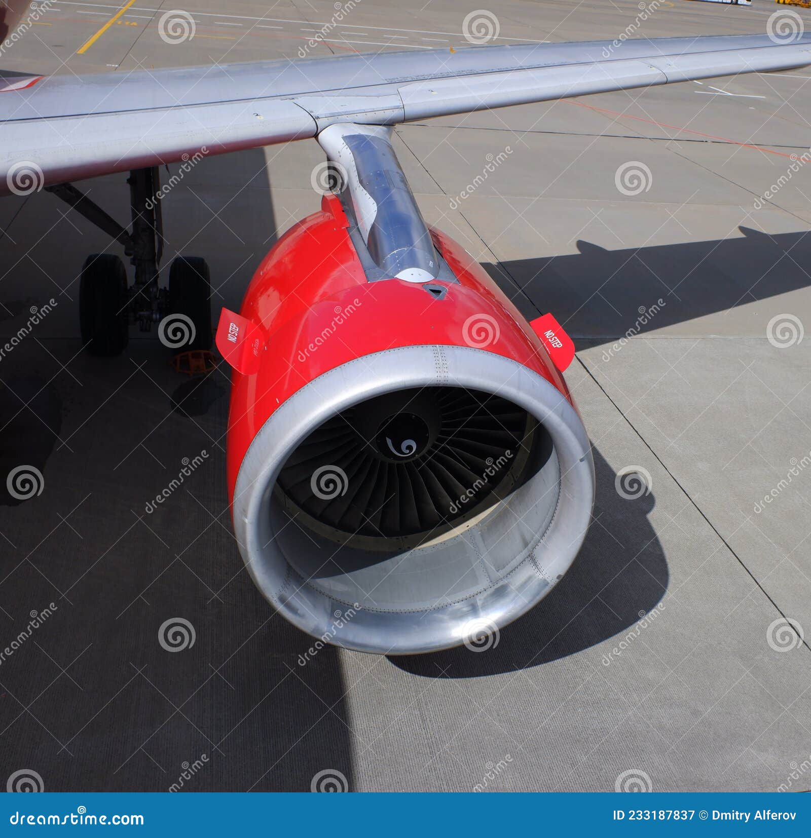 My Image 20