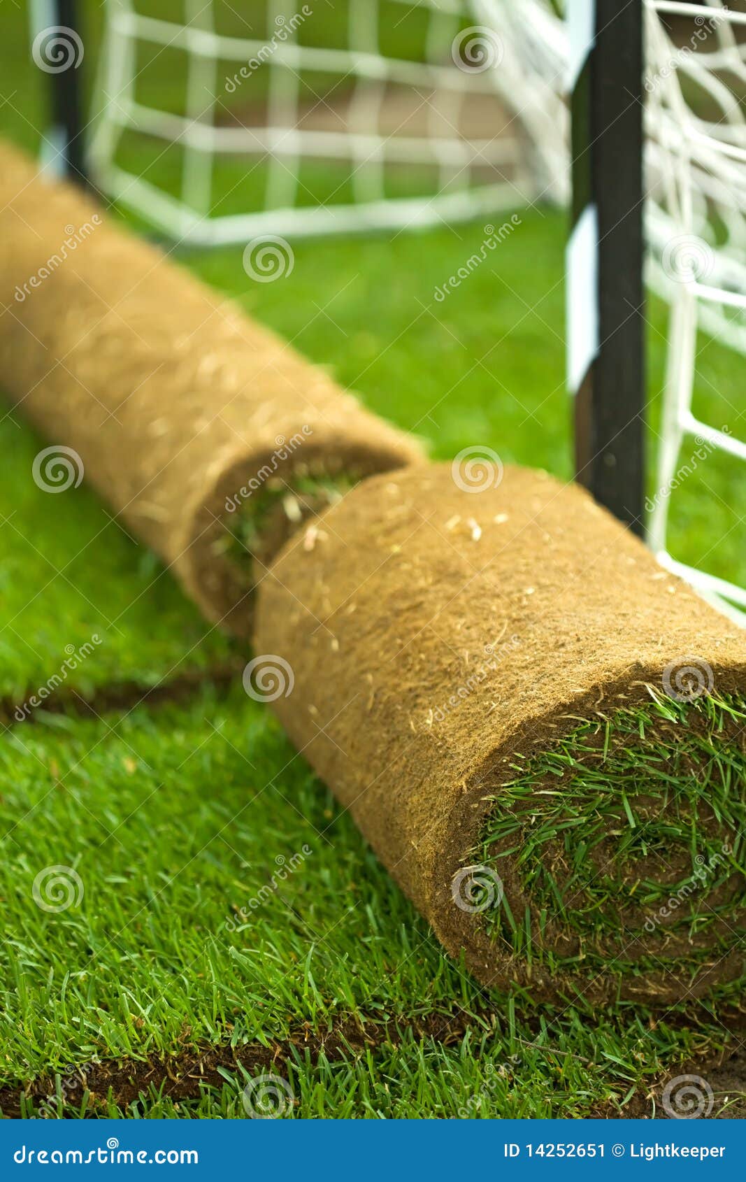 Turf Grass Rolls on Football Field Stock Image Image of agriculture