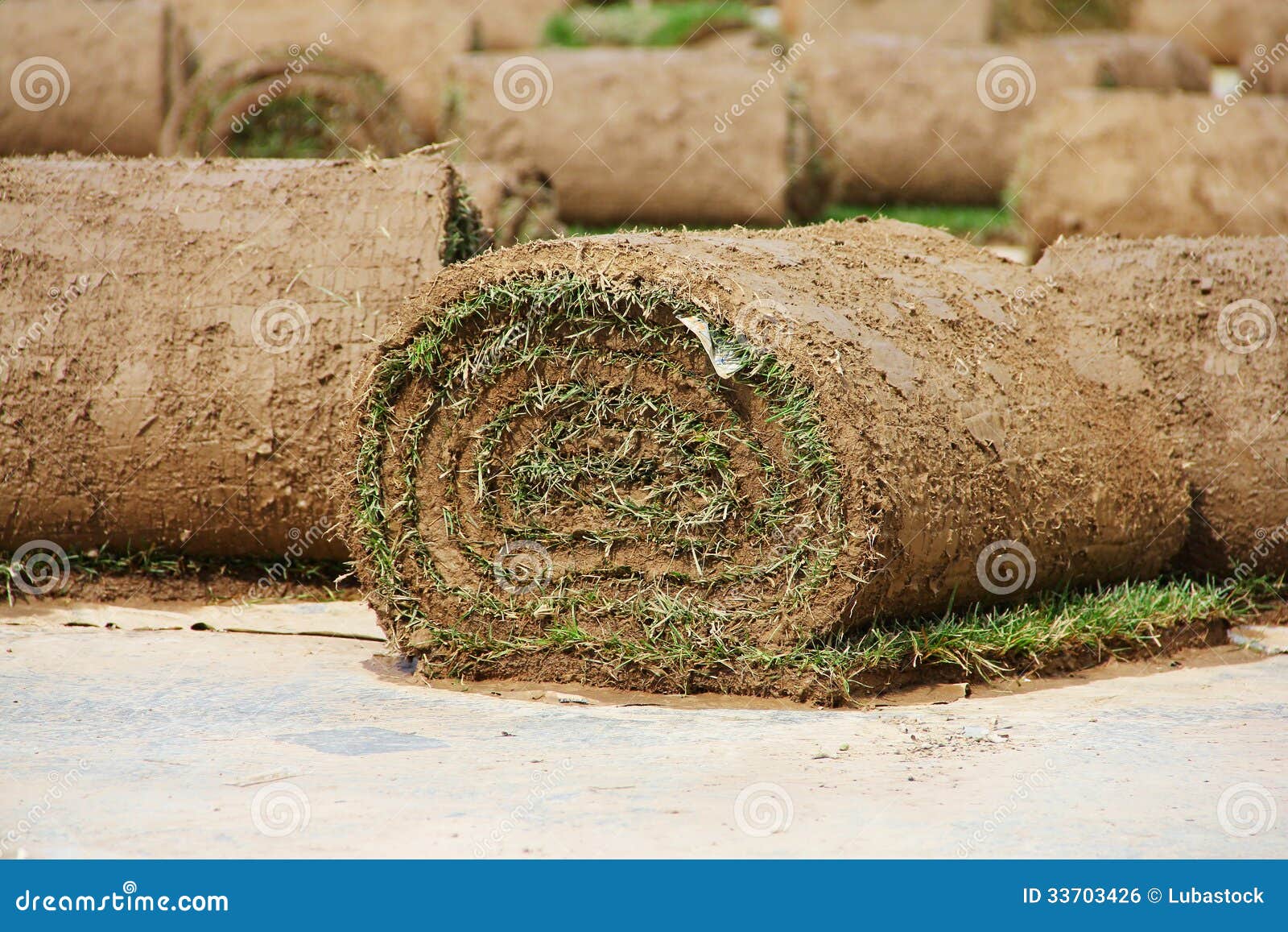 Turf grass rolls stock photo. Image of line, fresh, healthy 33703426