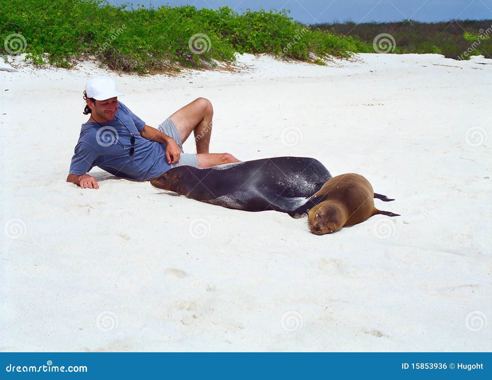 Turist för galapagos lionhav. Sätta på land tillsammans med kuriositetgalapagaosöar som lägger tämjde turisten för lionen havet