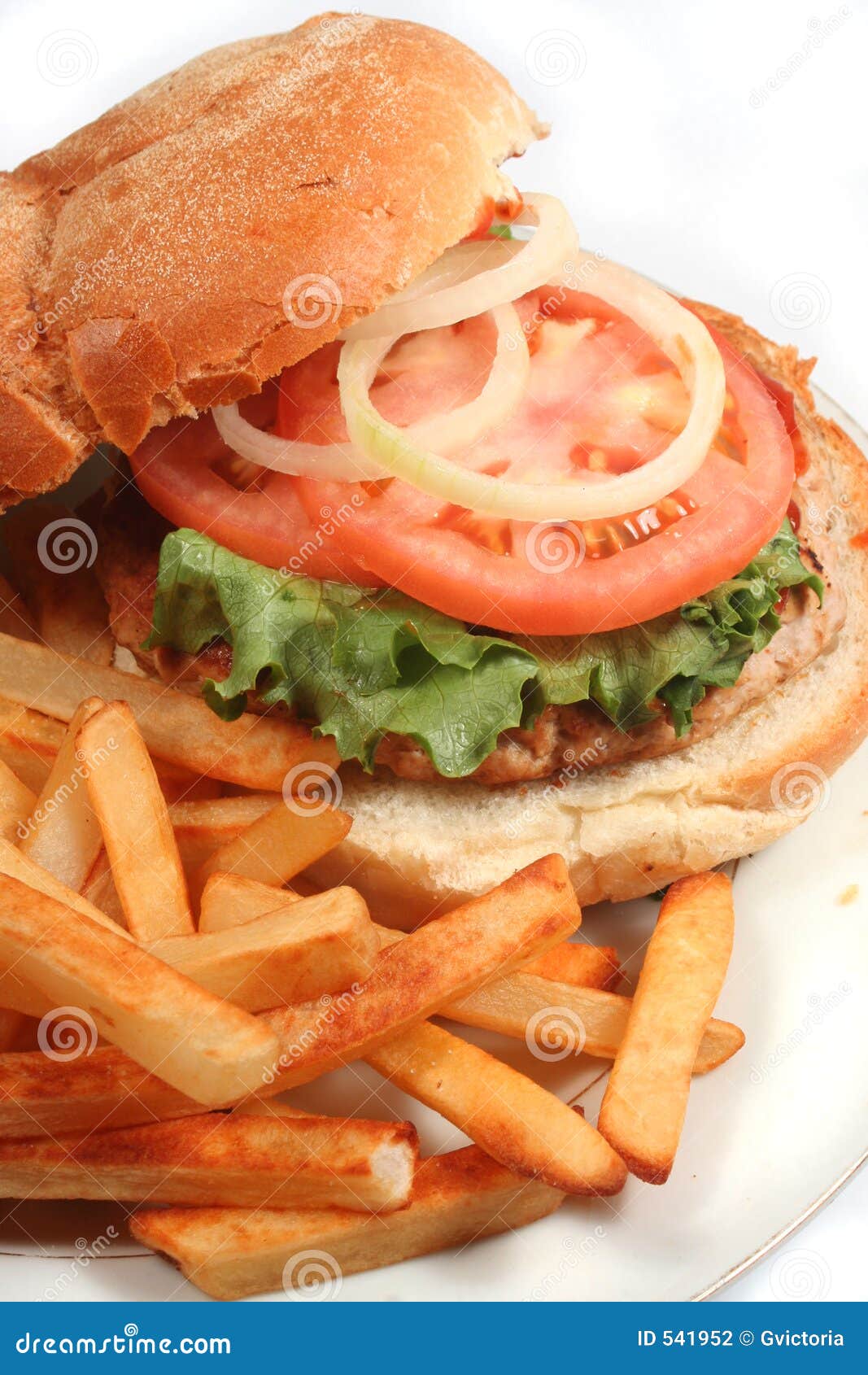 Turkey burger stock photo. Image of health, burger, hamburger - 541952