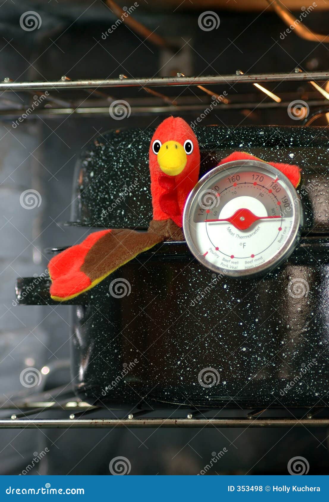 https://thumbs.dreamstime.com/z/turkey-roaster-meat-thermometer-353498.jpg