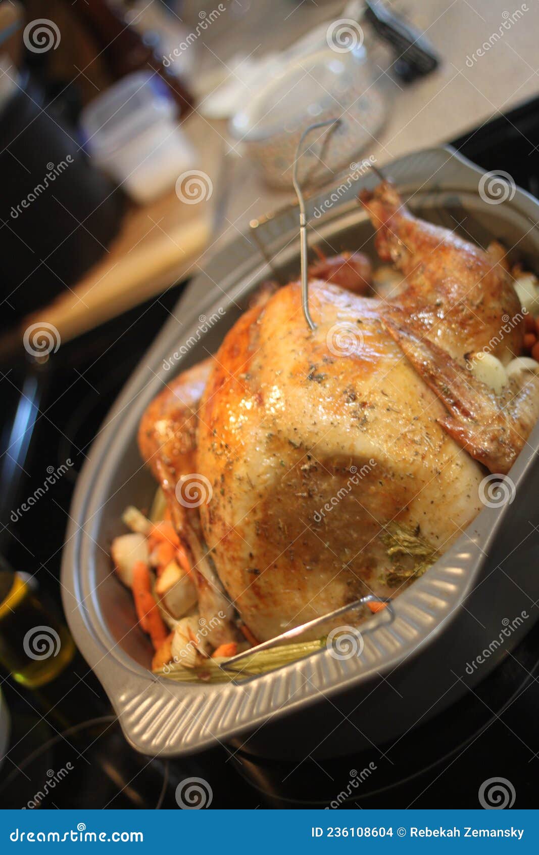 Turkey roast 6697 stock photo. Image of autumn, display 236108604