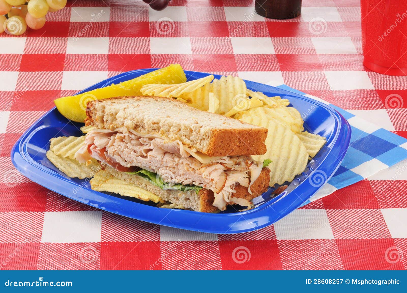 Turkey sandwich stock image. Image of plastic, lunch 28608257
