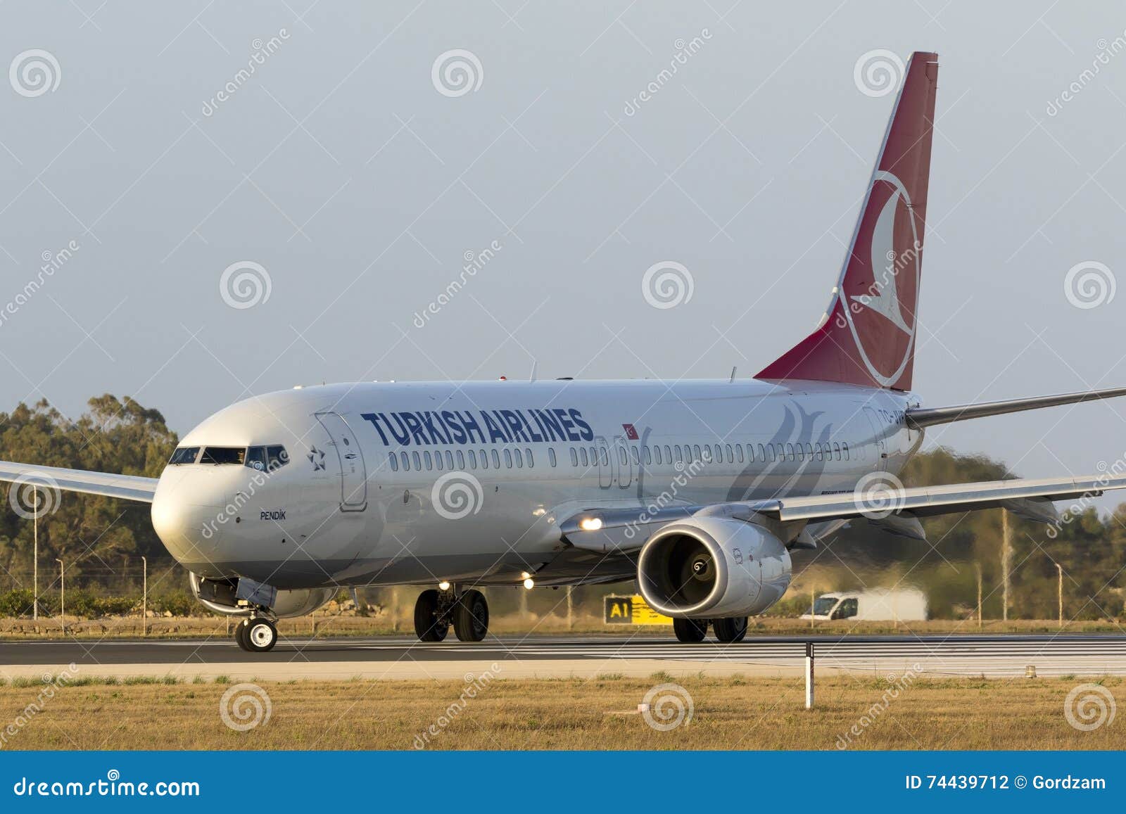 Turkish Airlines 737 800 Redaktionelles Stockfotografie