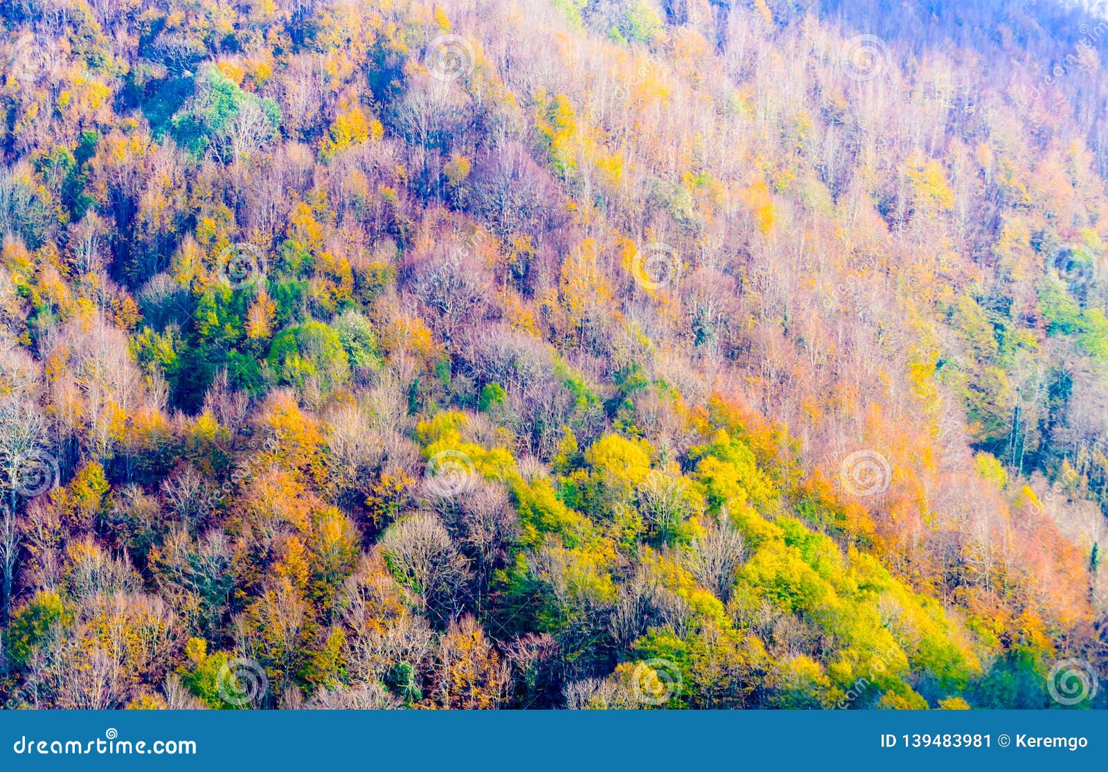 turkish countryside natural environment in marmara region