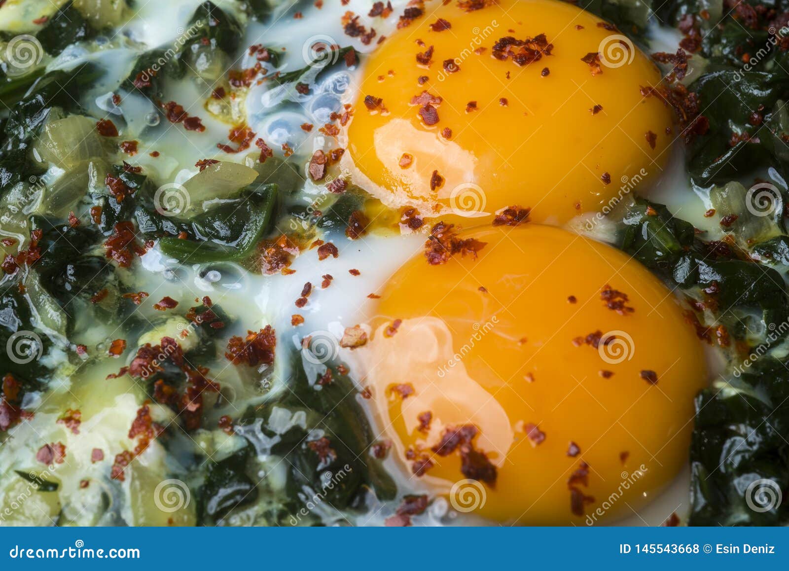 Turkish Food Spinach with Egg. Organic Food Stock Photo Image of