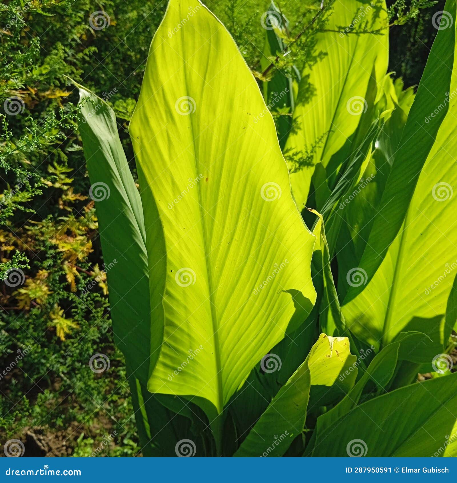 My Image 18