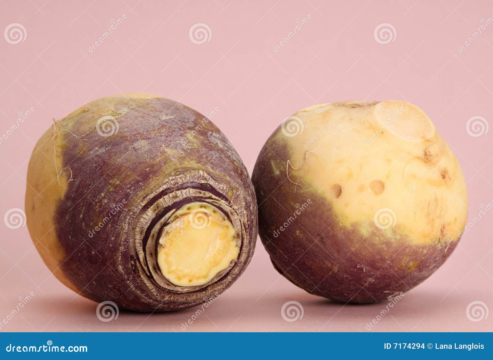 Turnip stock photo. Image of turnip, vegetable, nutritious 7174294