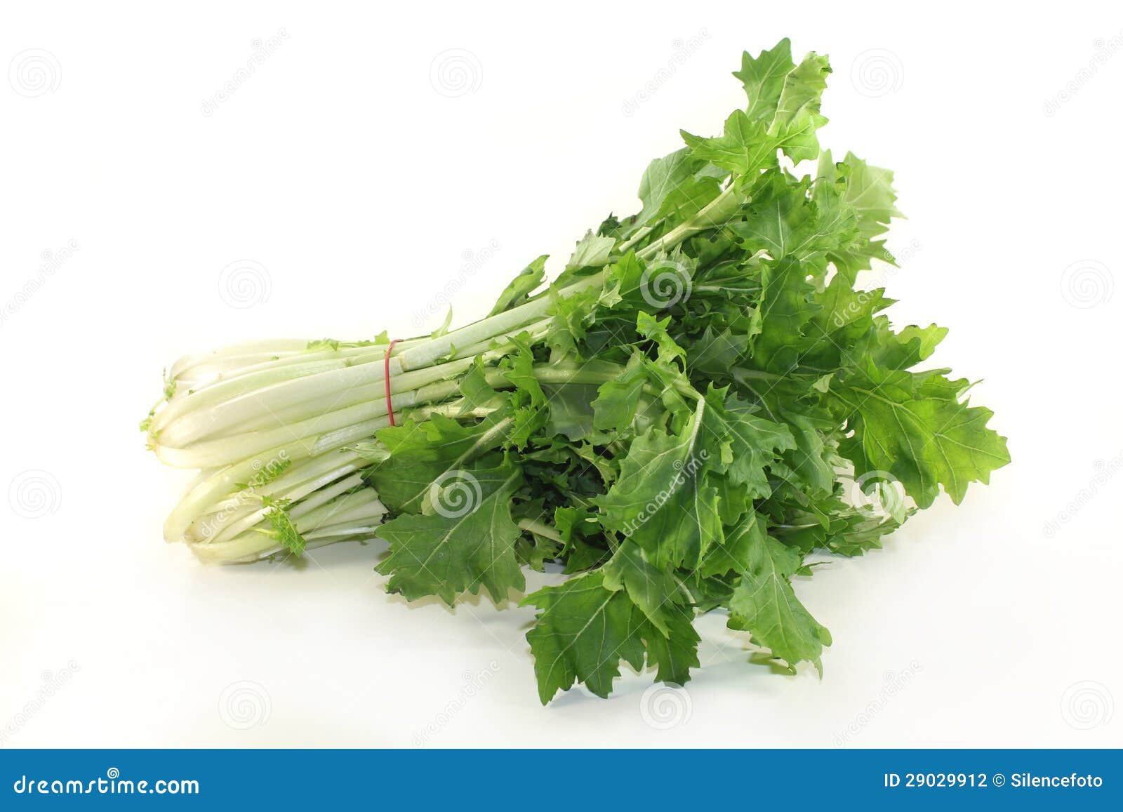 Turnip Greens, The Dark Leafy Edible Green Tops Of Turnips. Stock Photo