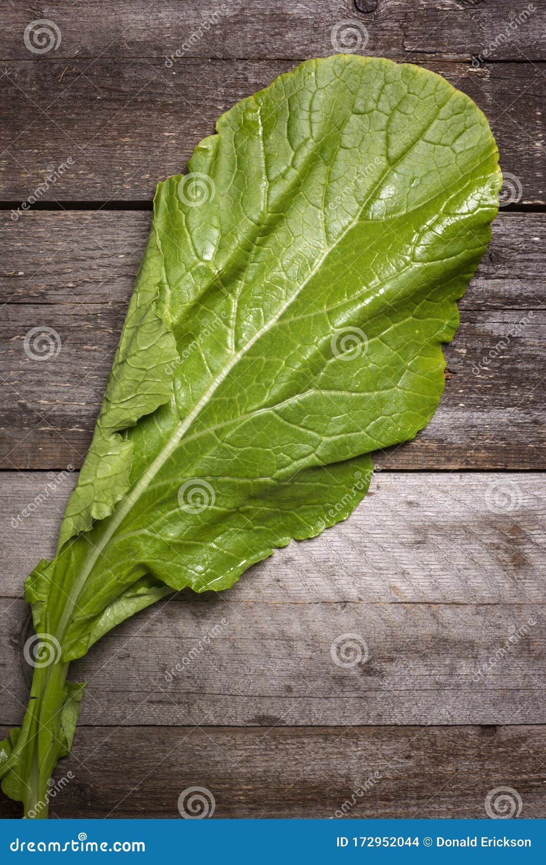 turnip greens on rustic wood background