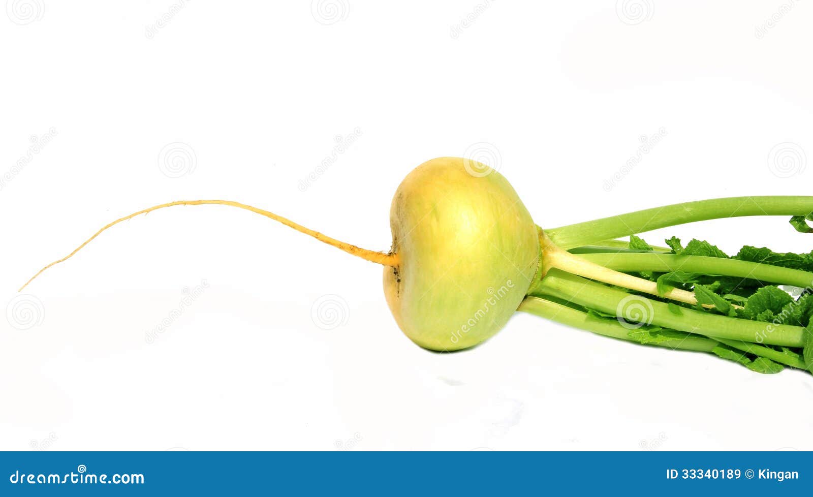 Turnip isolated stock image. Image of vegetarian, turnip 33340189