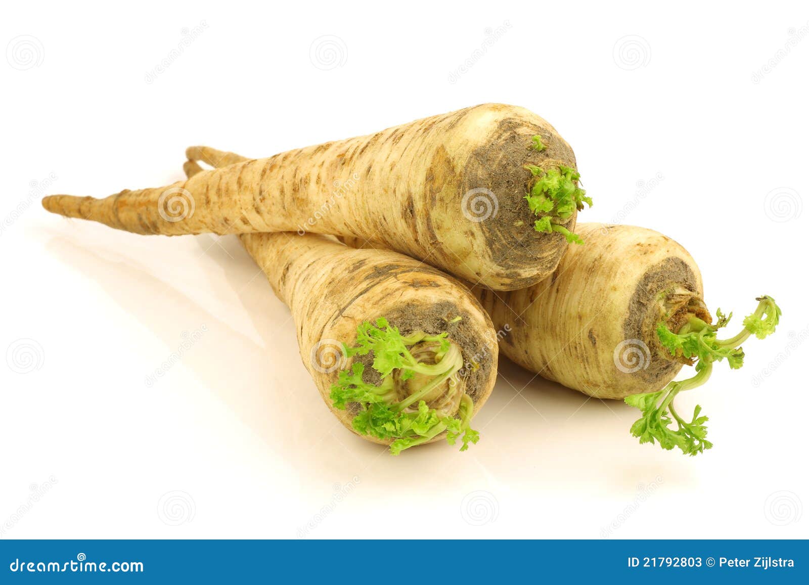 Turnip rooted parsley stock image. Image of nature, parsley 21792803