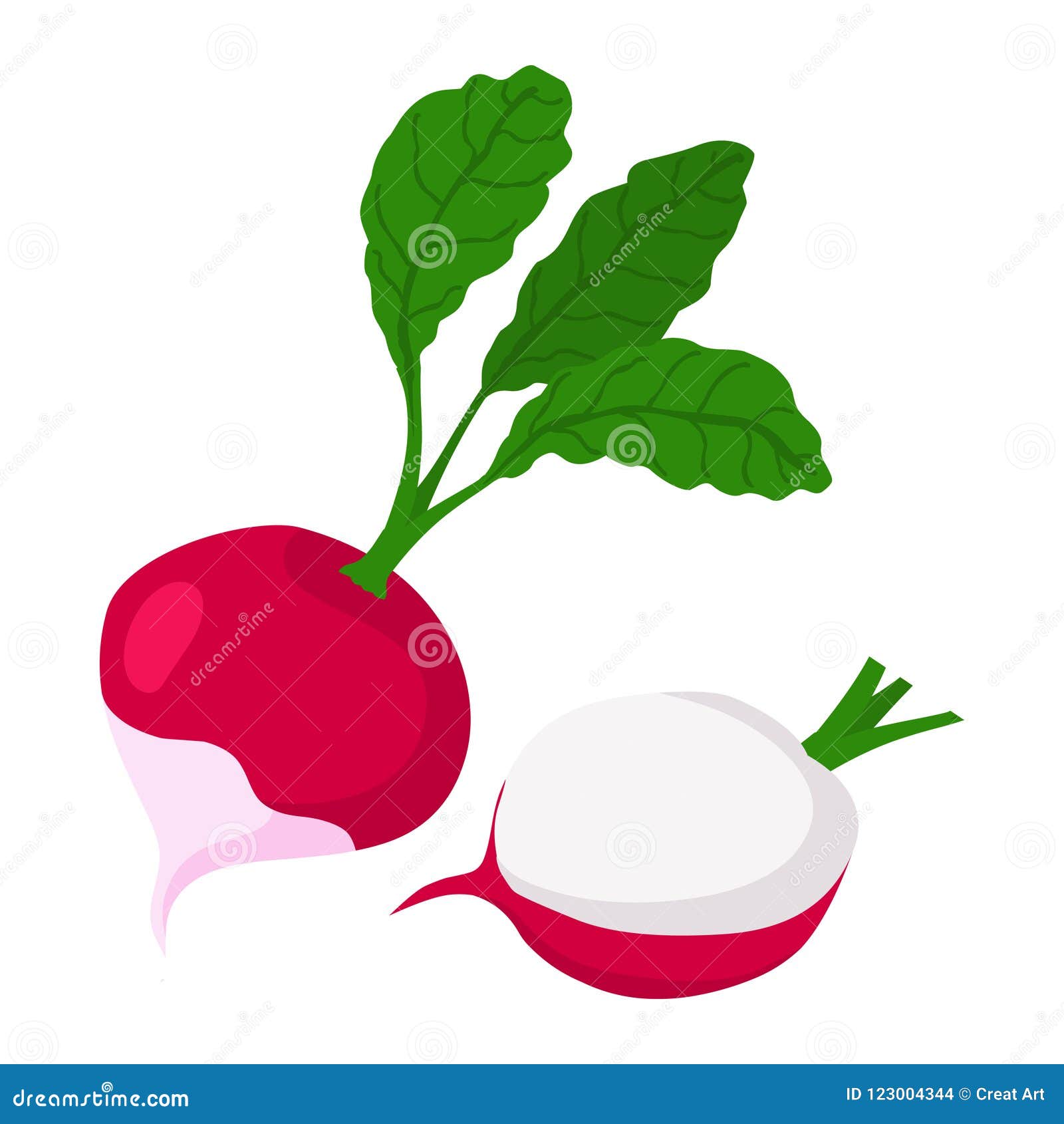 turnip .fresh turnip 