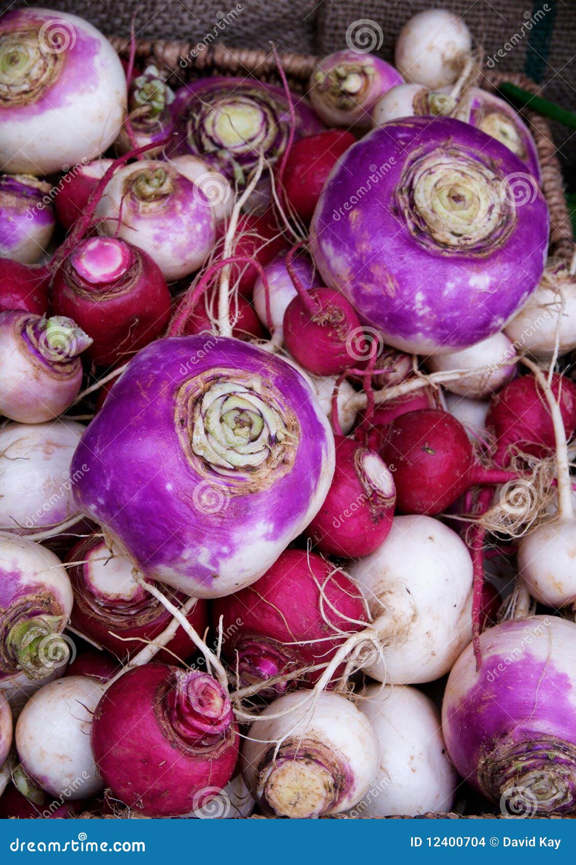 Turnips and Radishes stock photo. Image of organic, ingredient 12400704