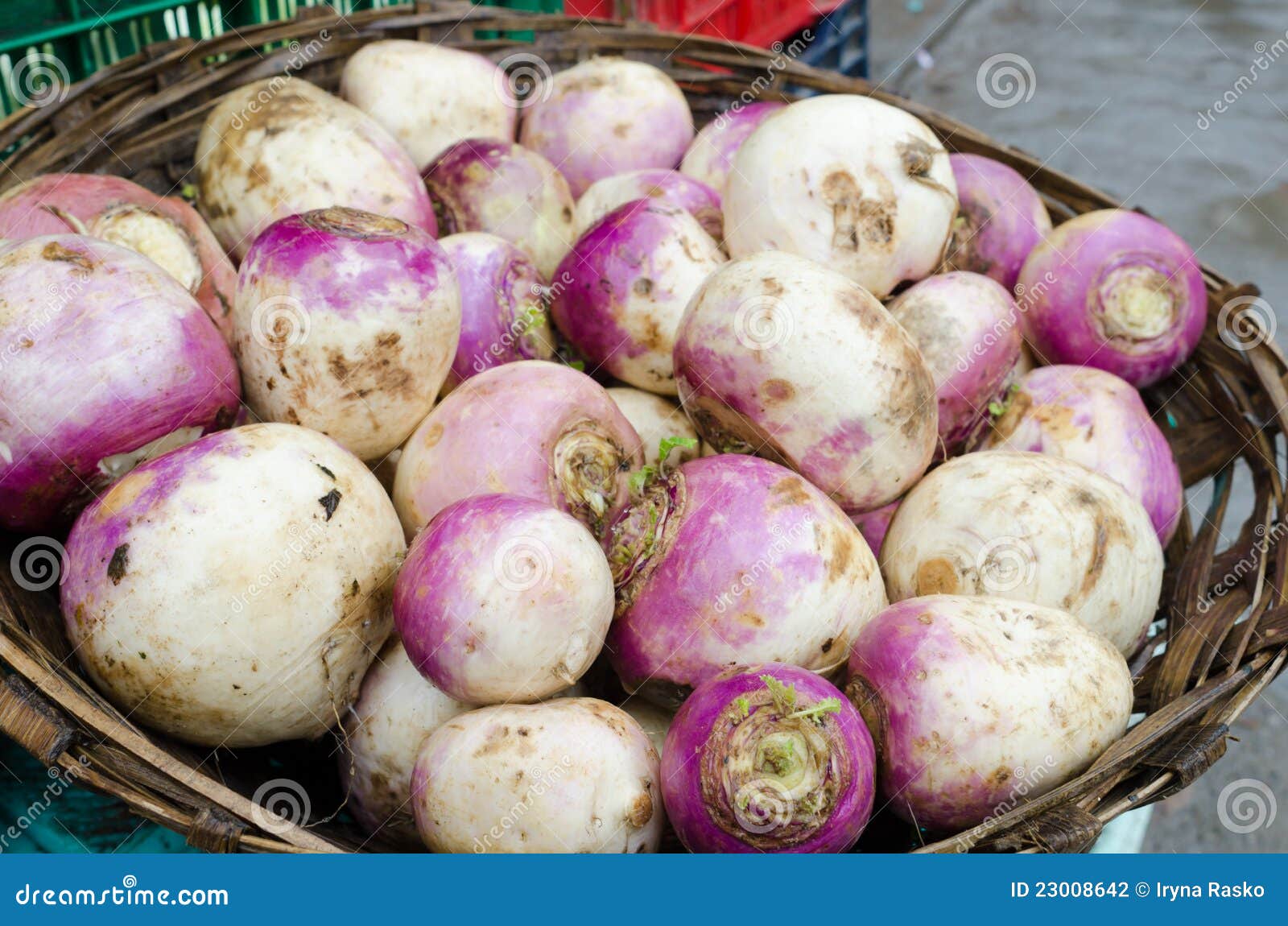 Turnips for Sale stock photo. Image of farmers, root 23008642